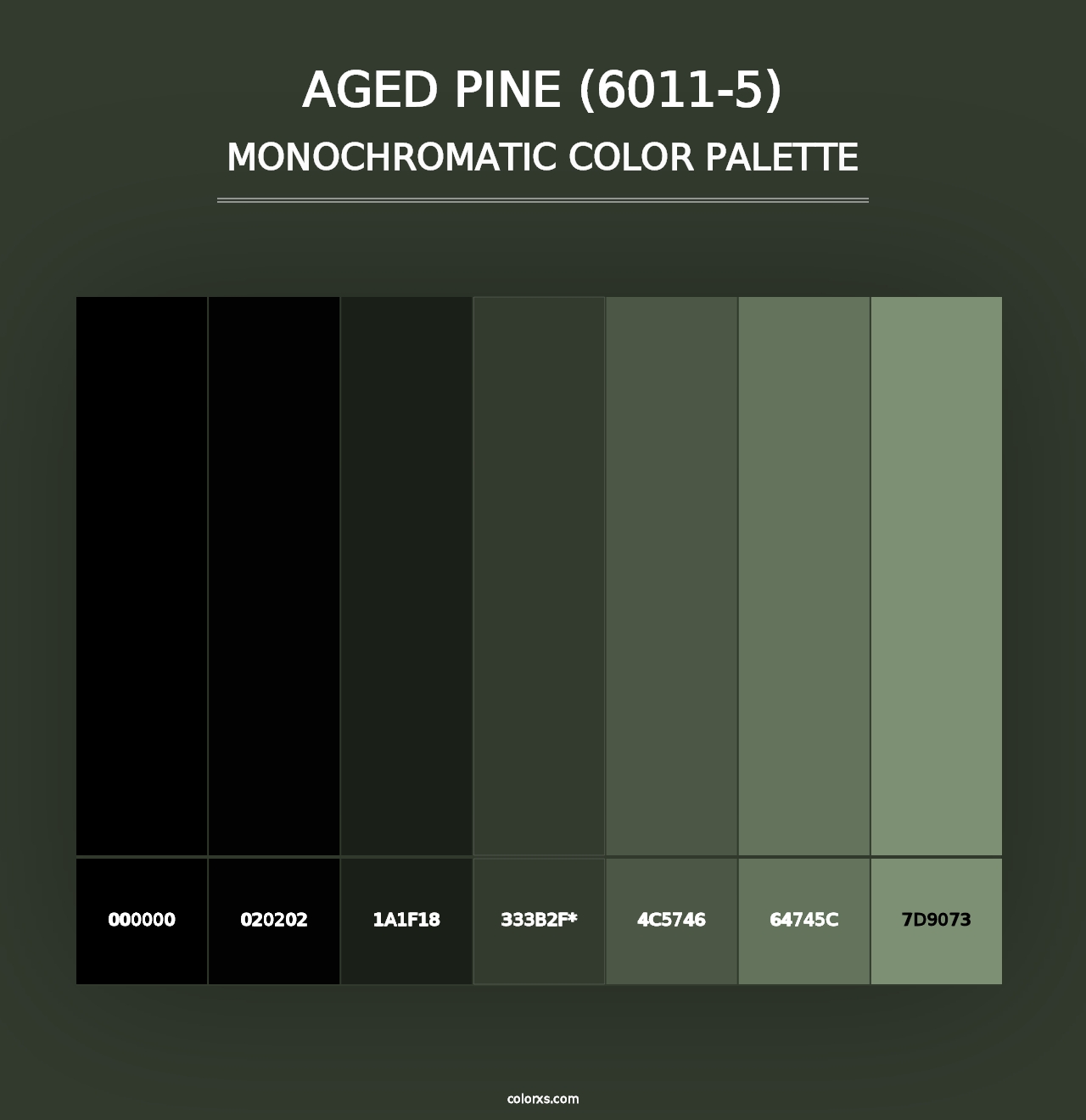 Aged Pine (6011-5) - Monochromatic Color Palette