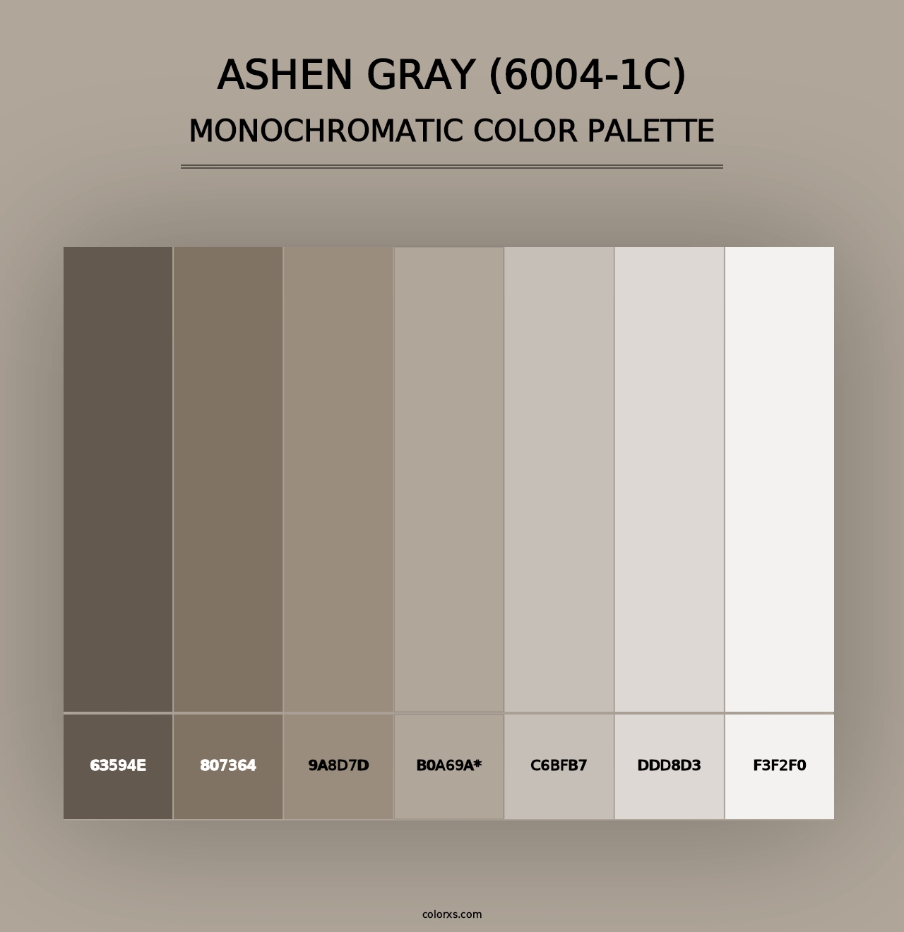 Ashen Gray (6004-1C) - Monochromatic Color Palette