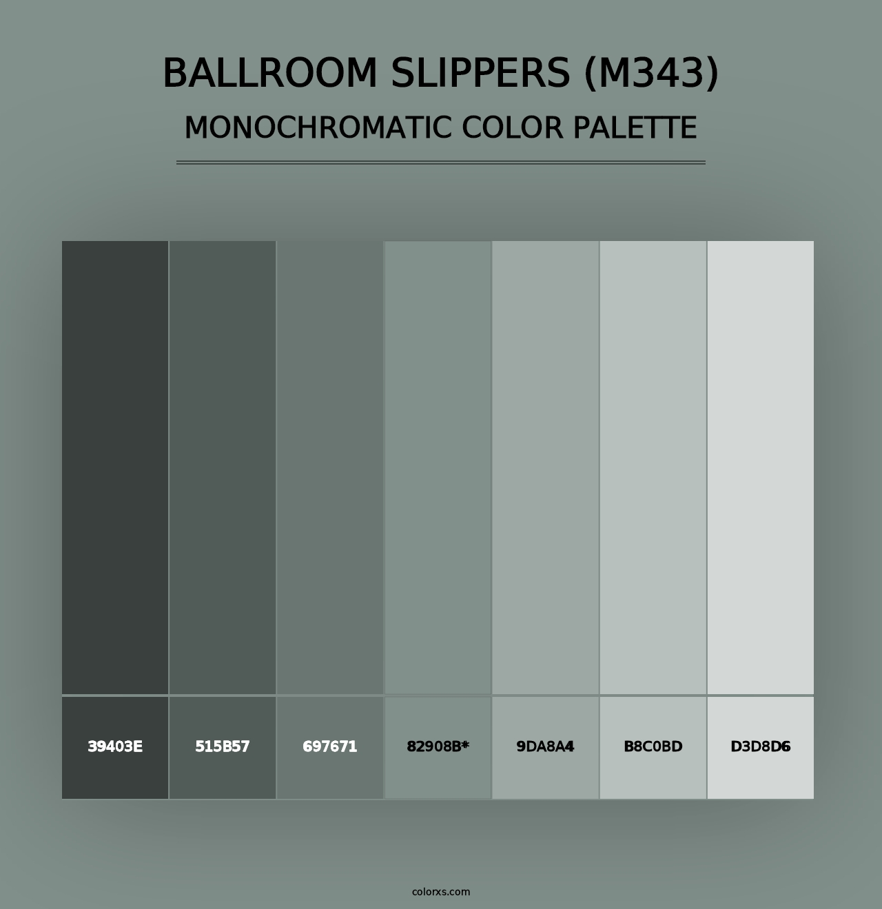 Ballroom Slippers (M343) - Monochromatic Color Palette