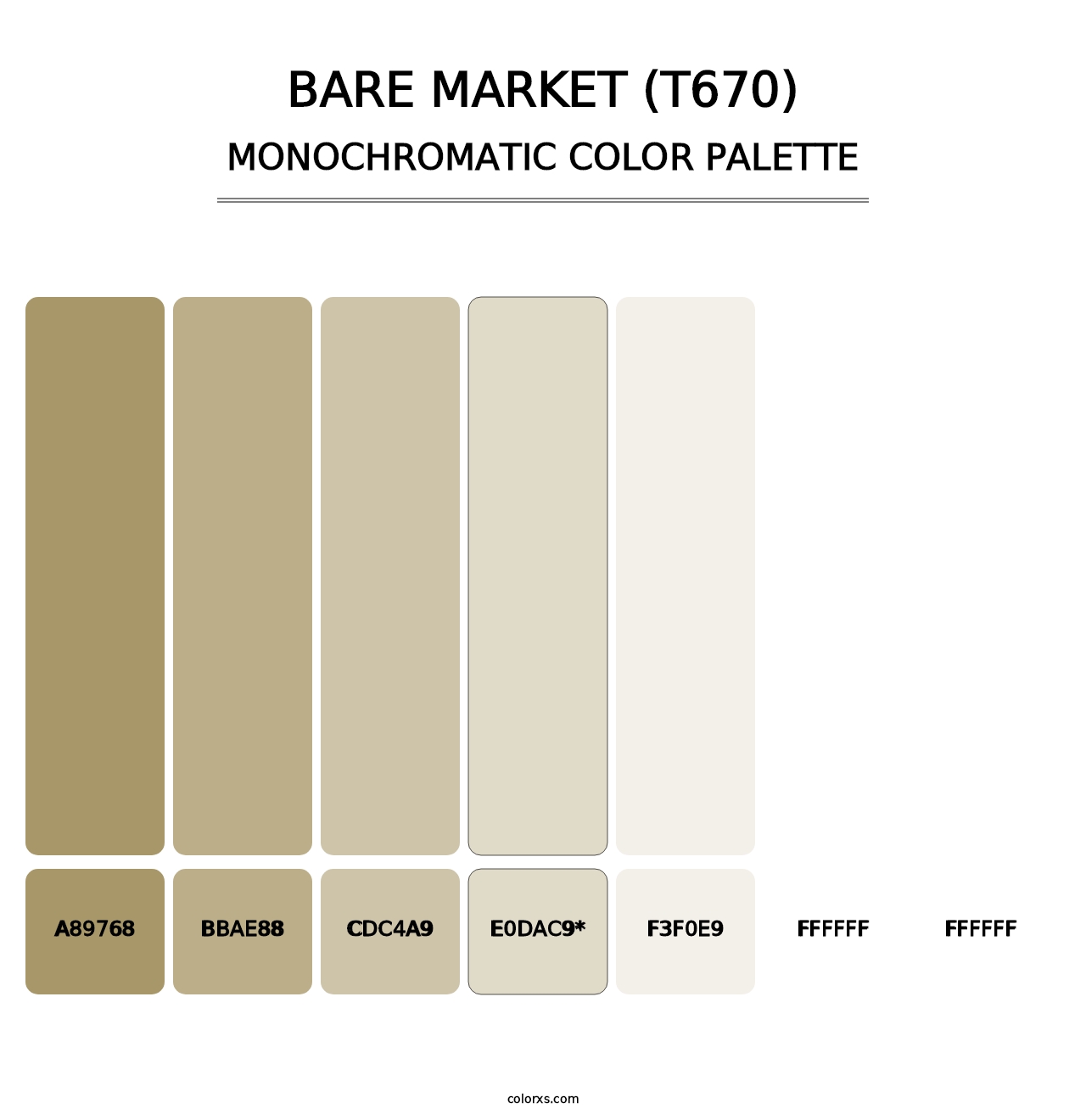 Bare Market (T670) - Monochromatic Color Palette