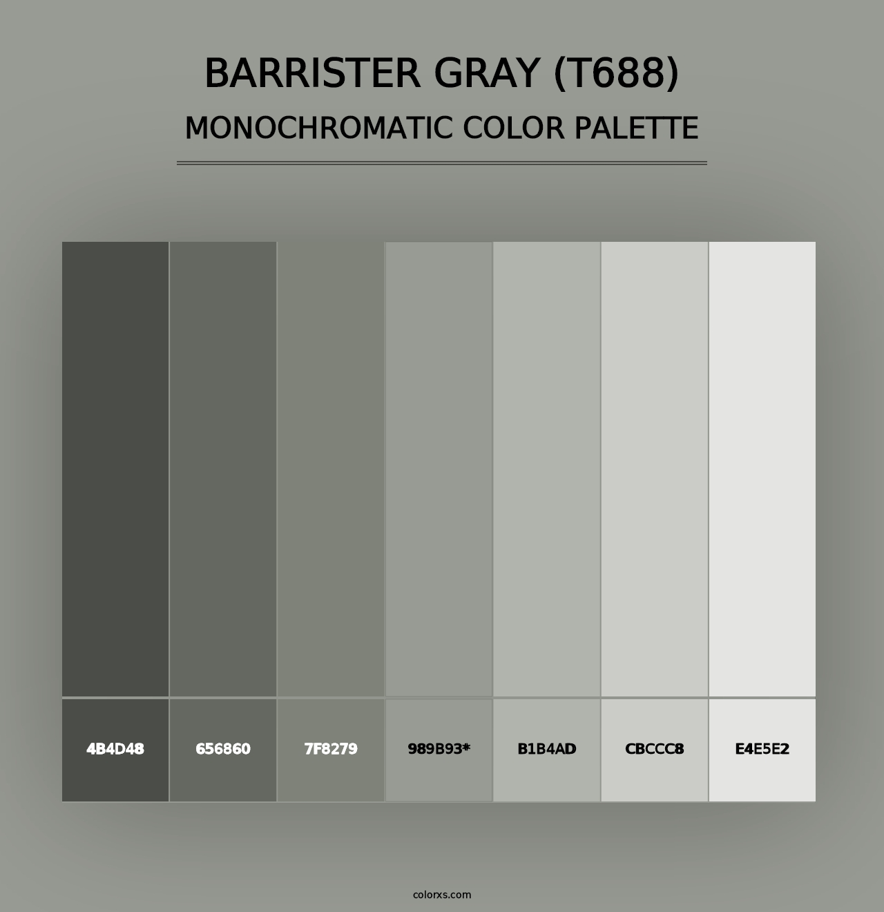 Barrister Gray (T688) - Monochromatic Color Palette