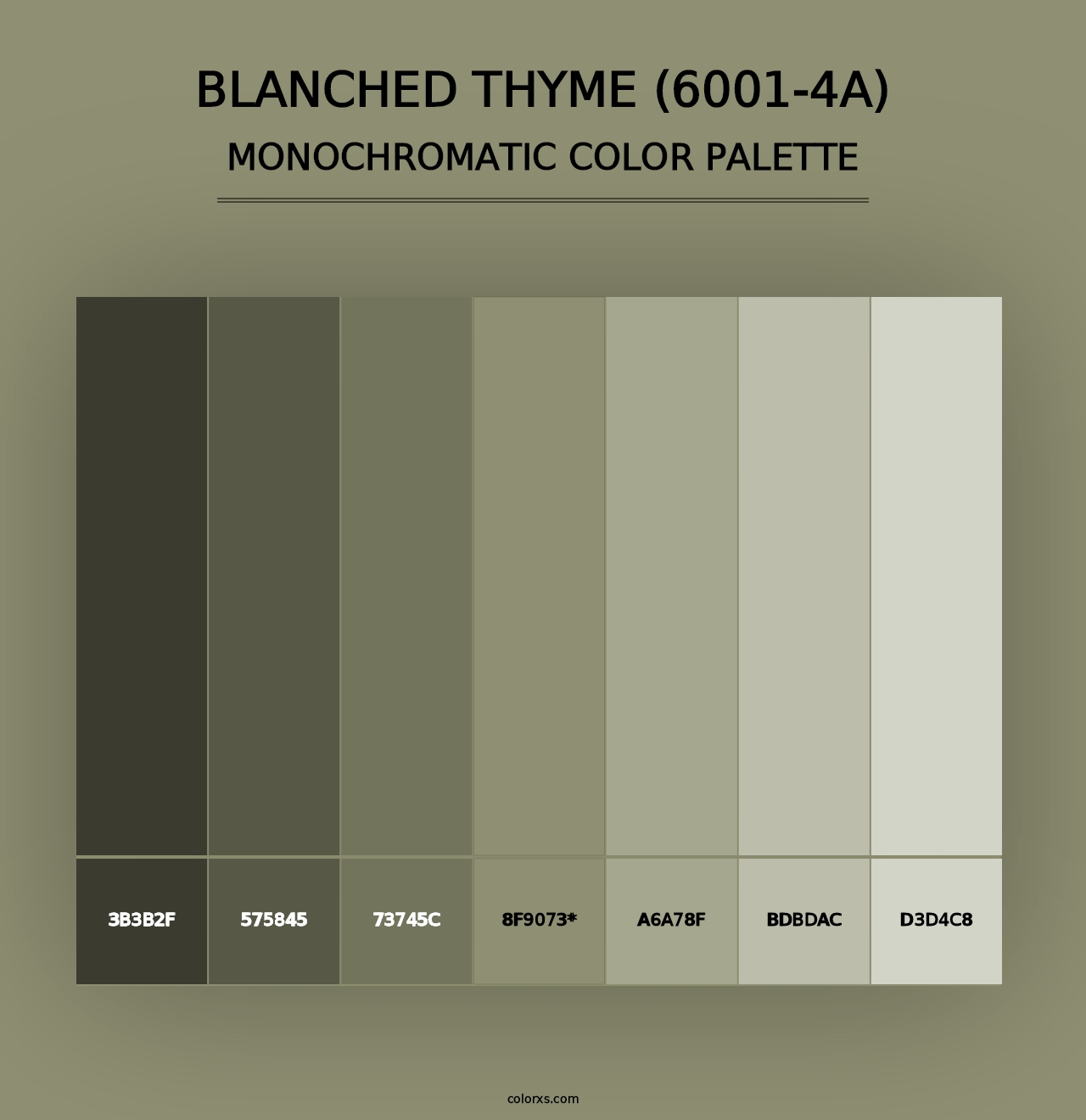 Blanched Thyme (6001-4A) - Monochromatic Color Palette