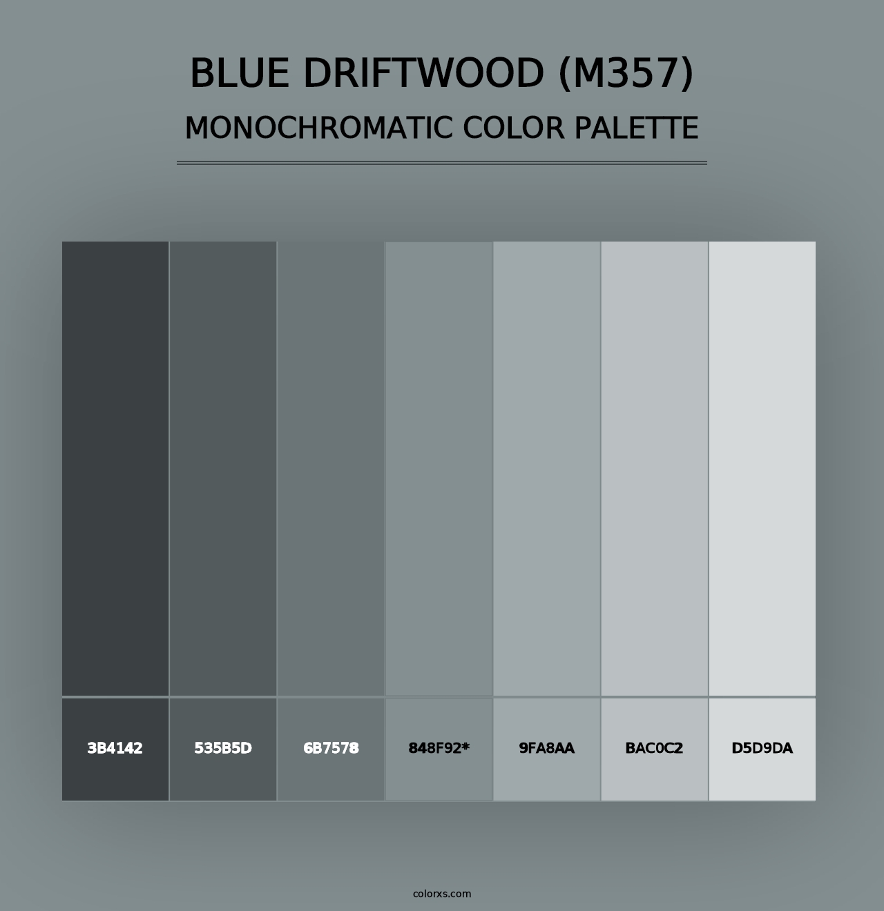 Blue Driftwood (M357) - Monochromatic Color Palette