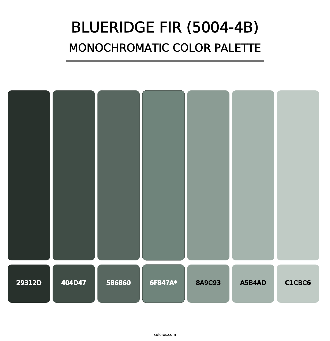 Blueridge Fir (5004-4B) - Monochromatic Color Palette