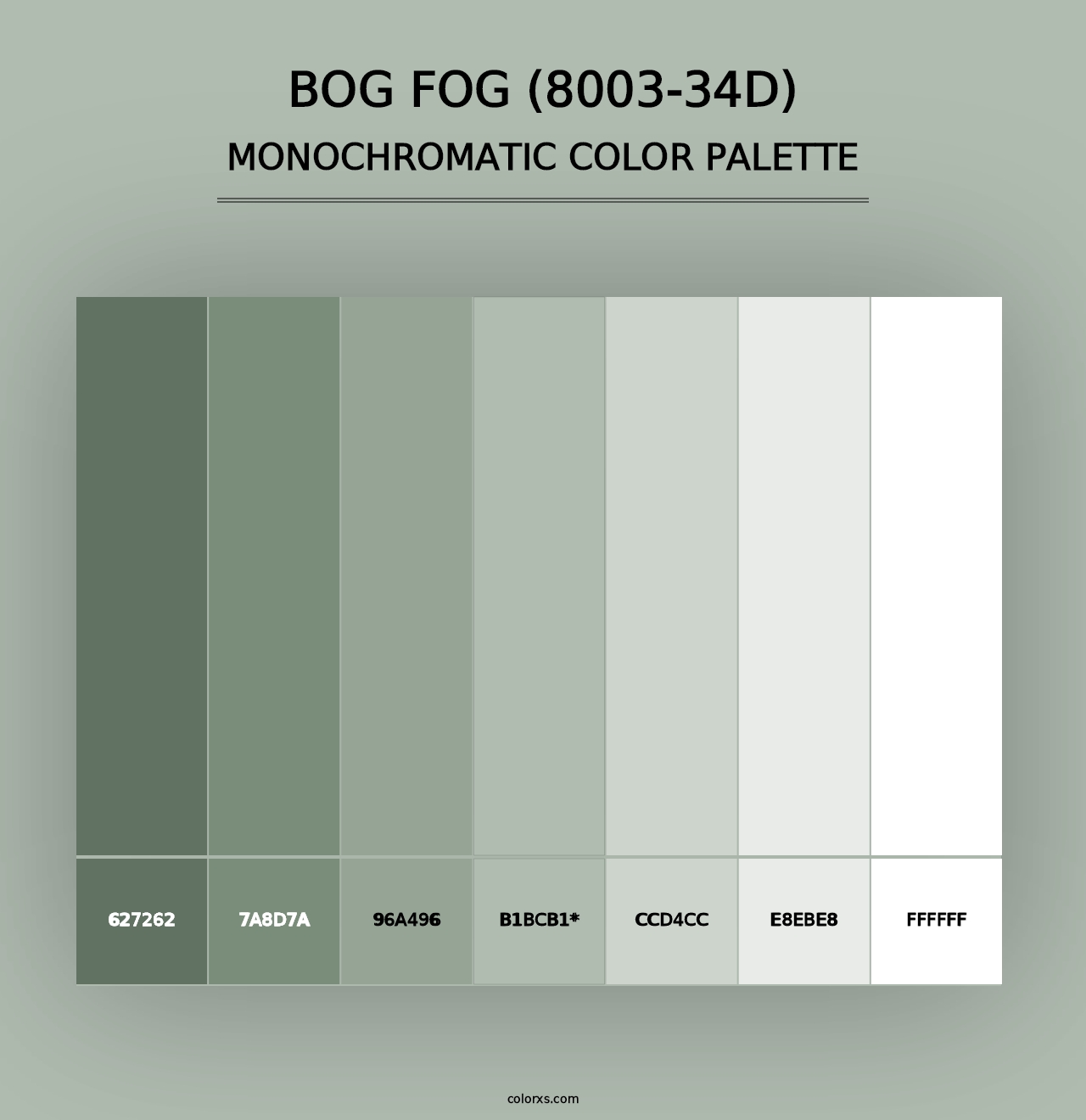 Bog Fog (8003-34D) - Monochromatic Color Palette