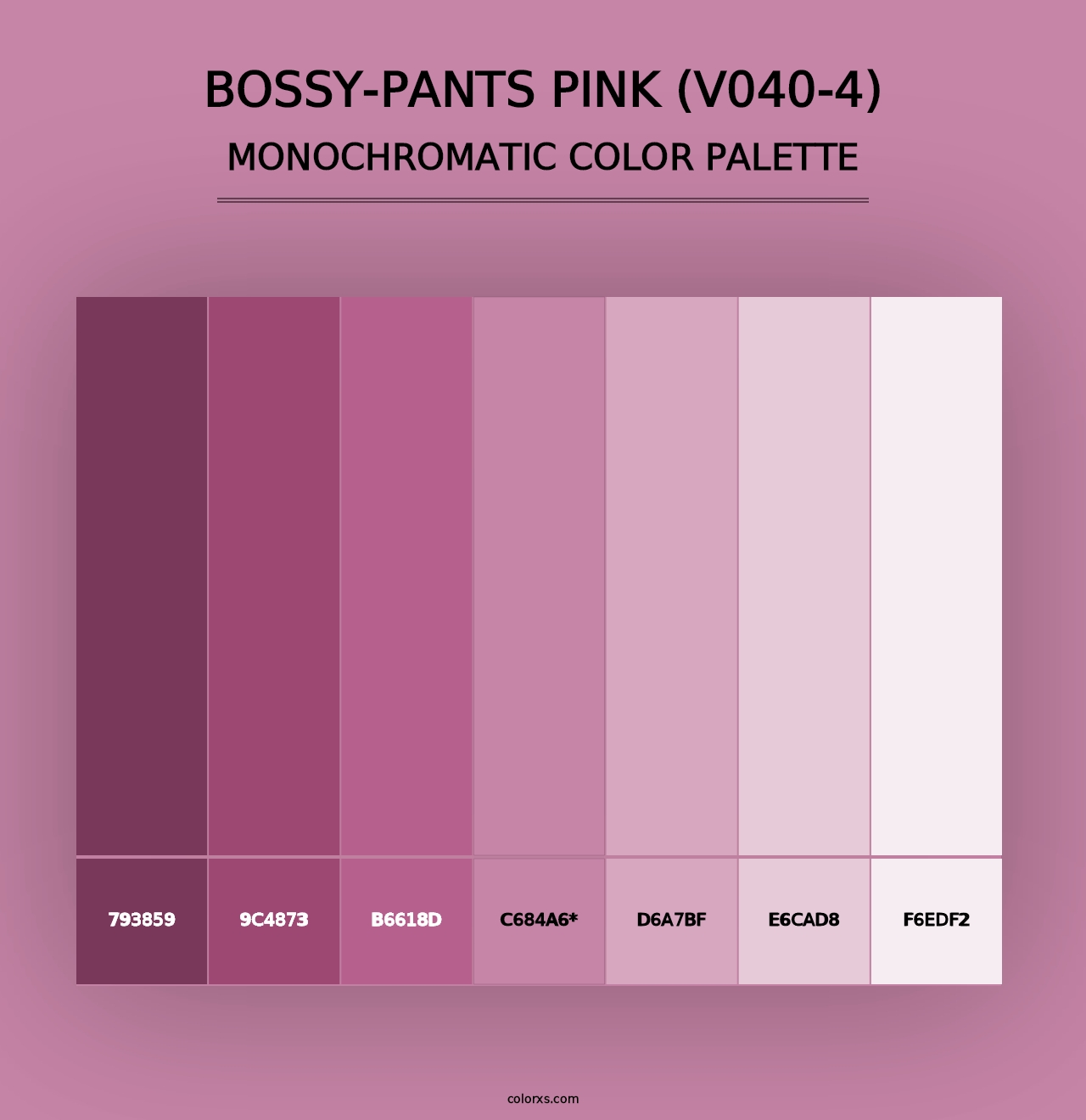 Bossy-Pants Pink (V040-4) - Monochromatic Color Palette