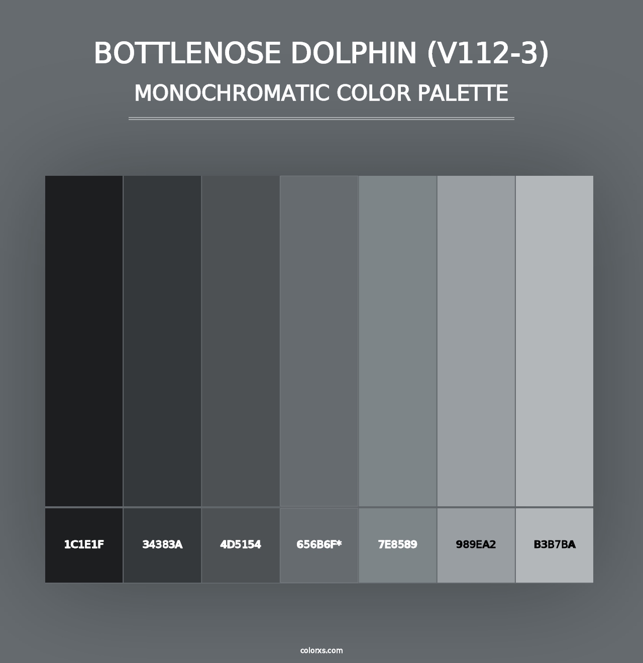 Bottlenose Dolphin (V112-3) - Monochromatic Color Palette