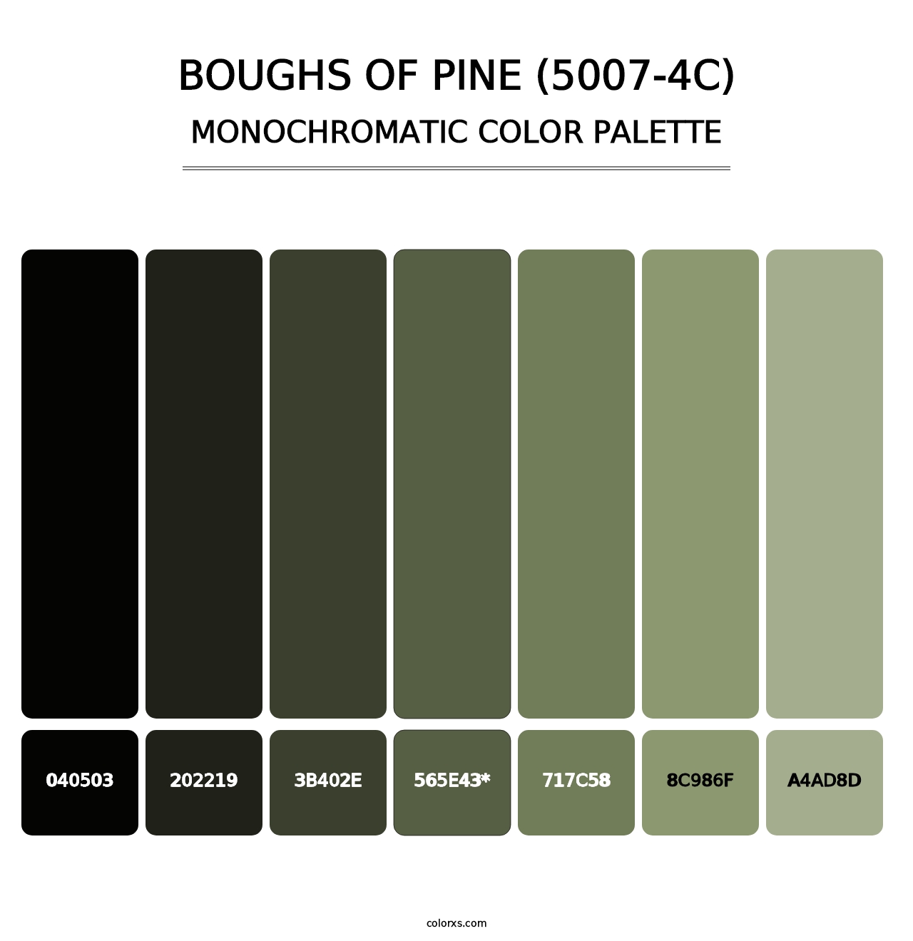 Boughs of Pine (5007-4C) - Monochromatic Color Palette