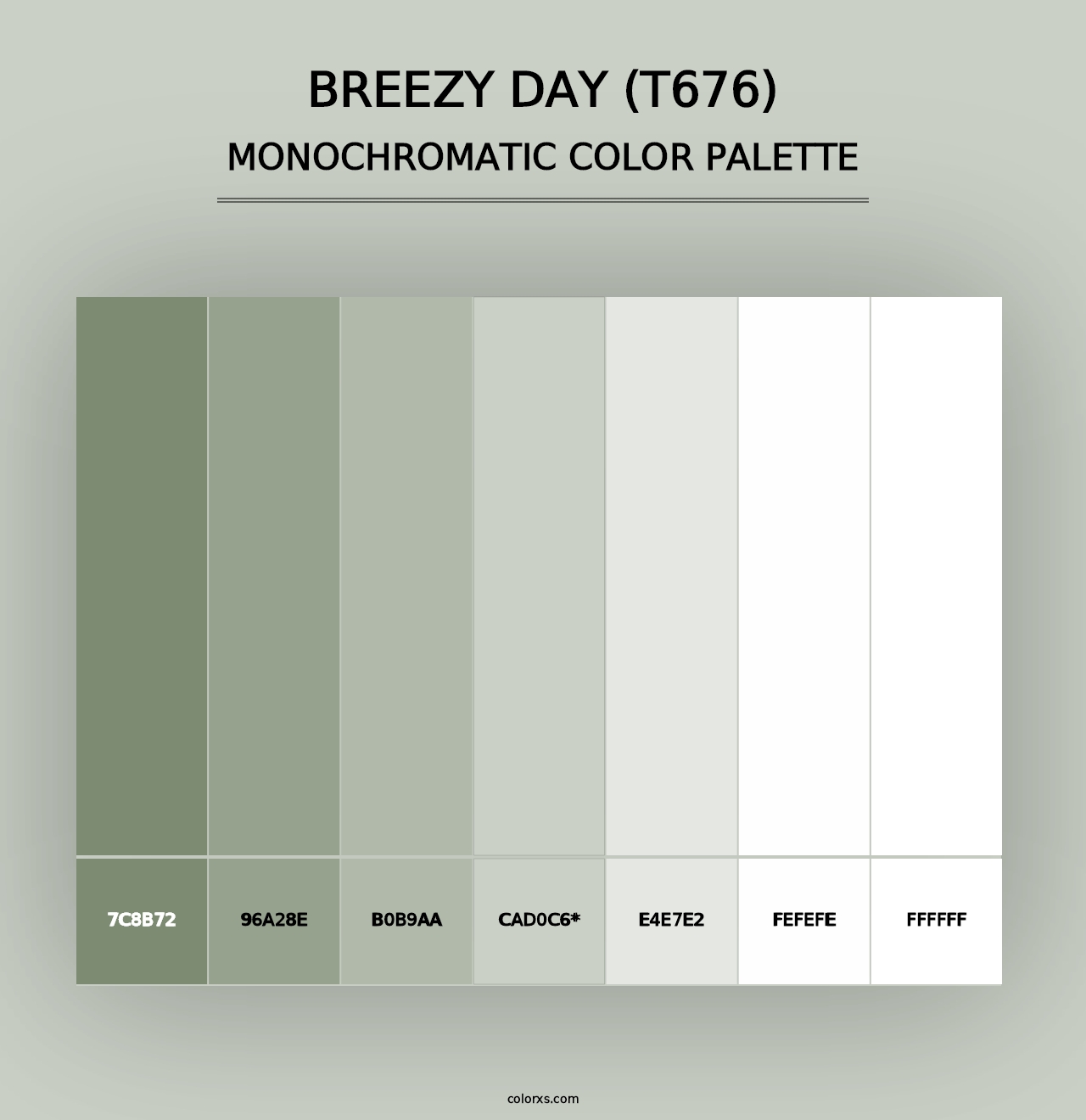 Breezy Day (T676) - Monochromatic Color Palette