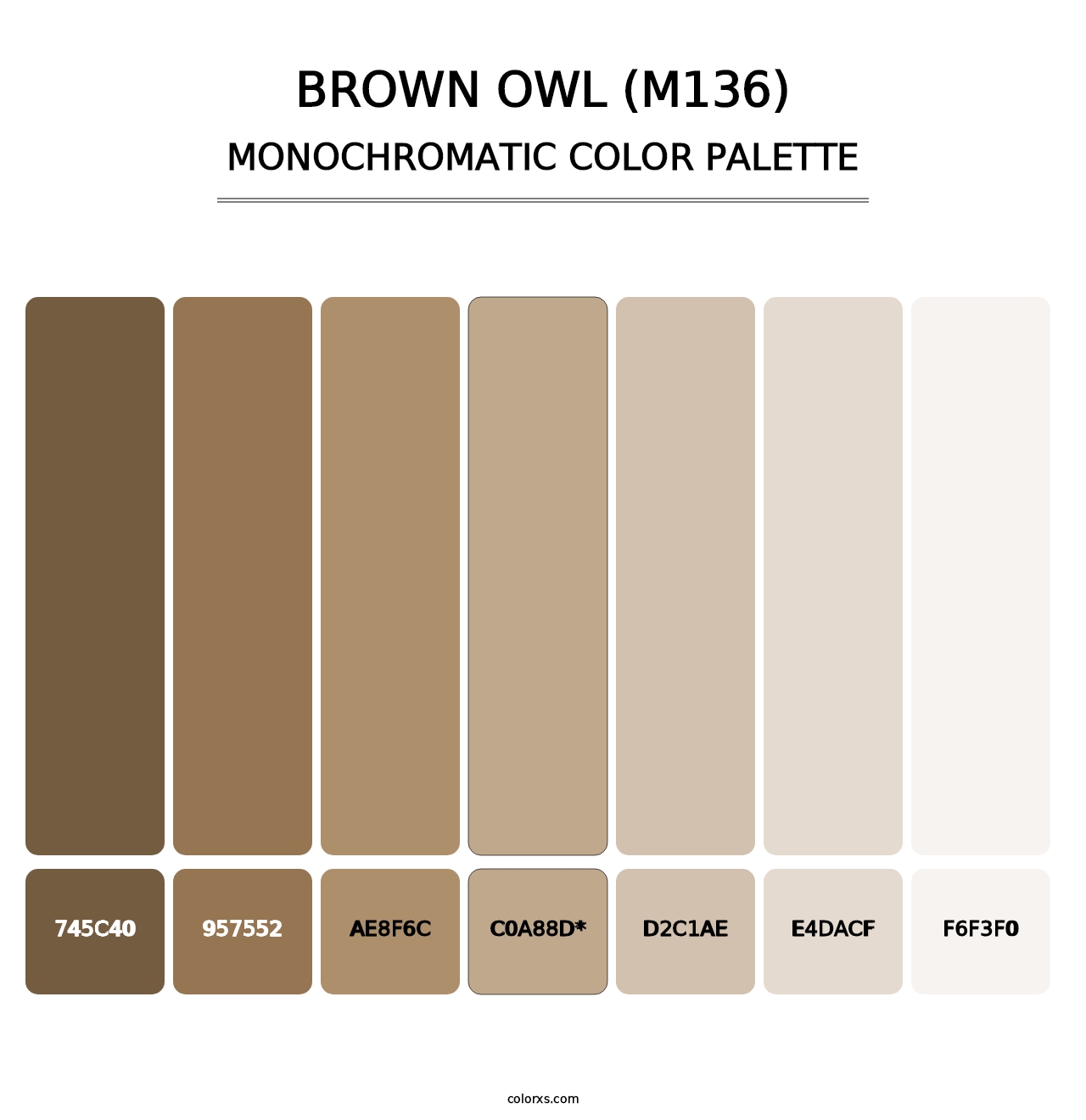 Brown Owl (M136) - Monochromatic Color Palette