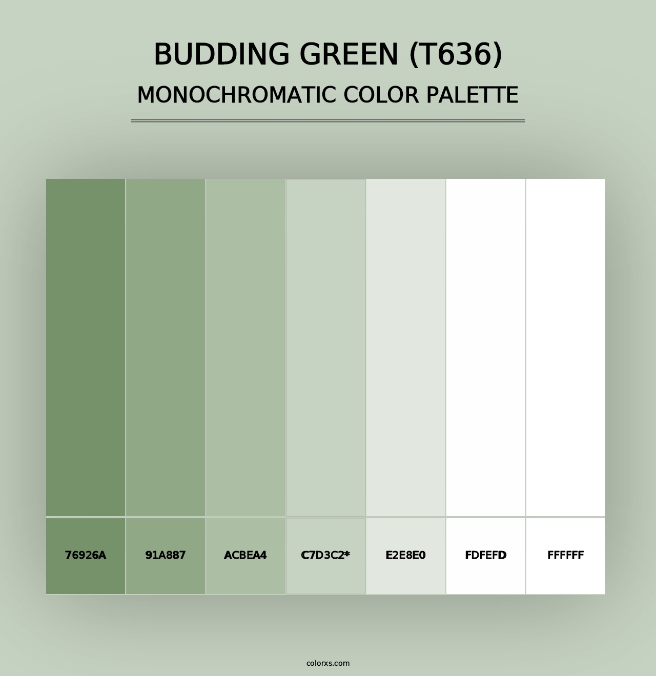 Budding Green (T636) - Monochromatic Color Palette