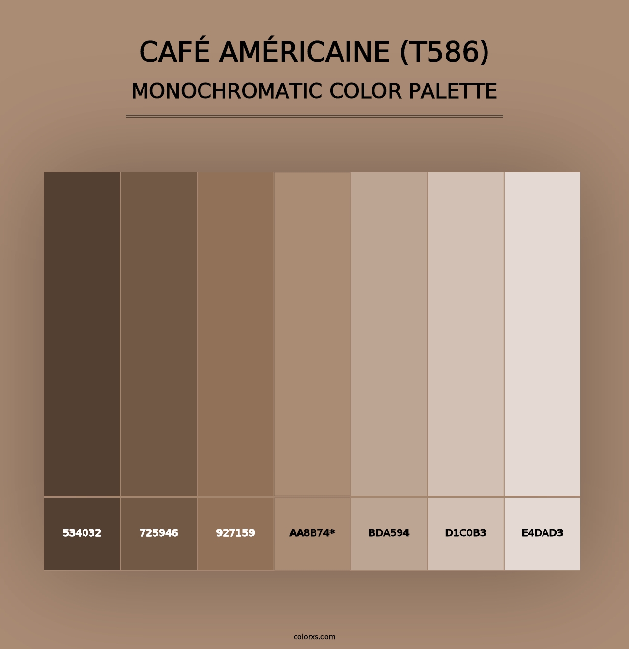 Café Américaine (T586) - Monochromatic Color Palette