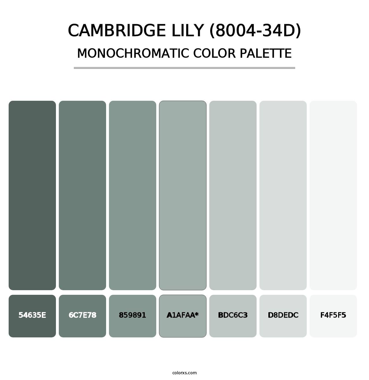 Cambridge Lily (8004-34D) - Monochromatic Color Palette