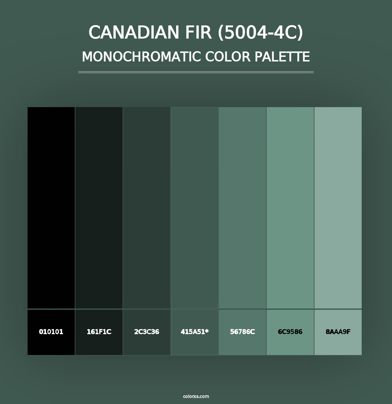 Canadian Fir (5004-4C) - Monochromatic Color Palette