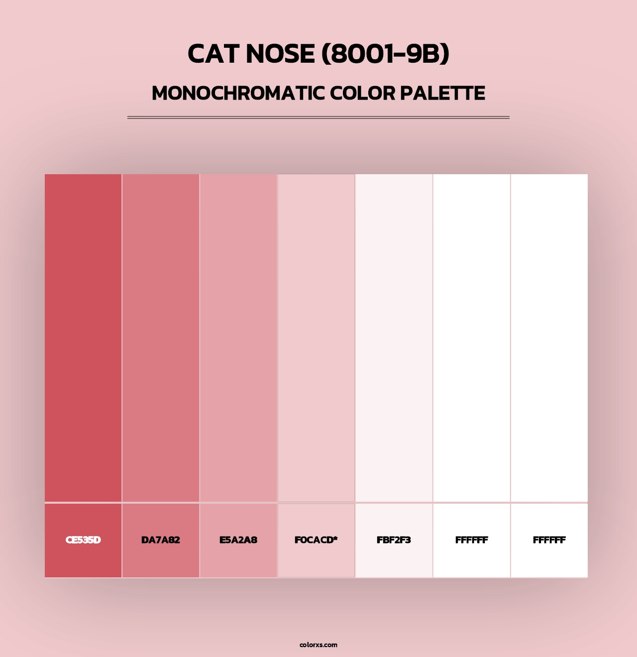 Cat Nose (8001-9B) - Monochromatic Color Palette