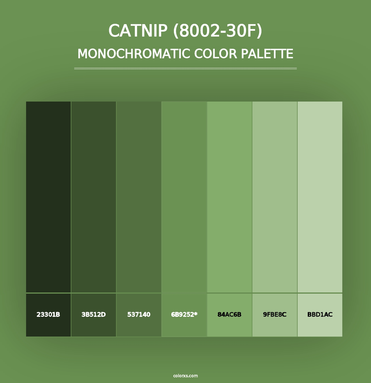 Catnip (8002-30F) - Monochromatic Color Palette