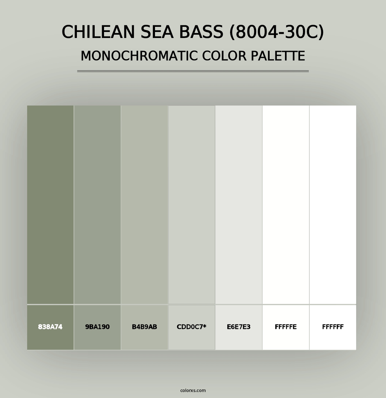 Chilean Sea Bass (8004-30C) - Monochromatic Color Palette