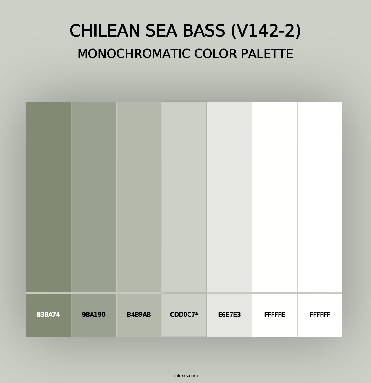 Chilean Sea Bass (V142-2) - Monochromatic Color Palette