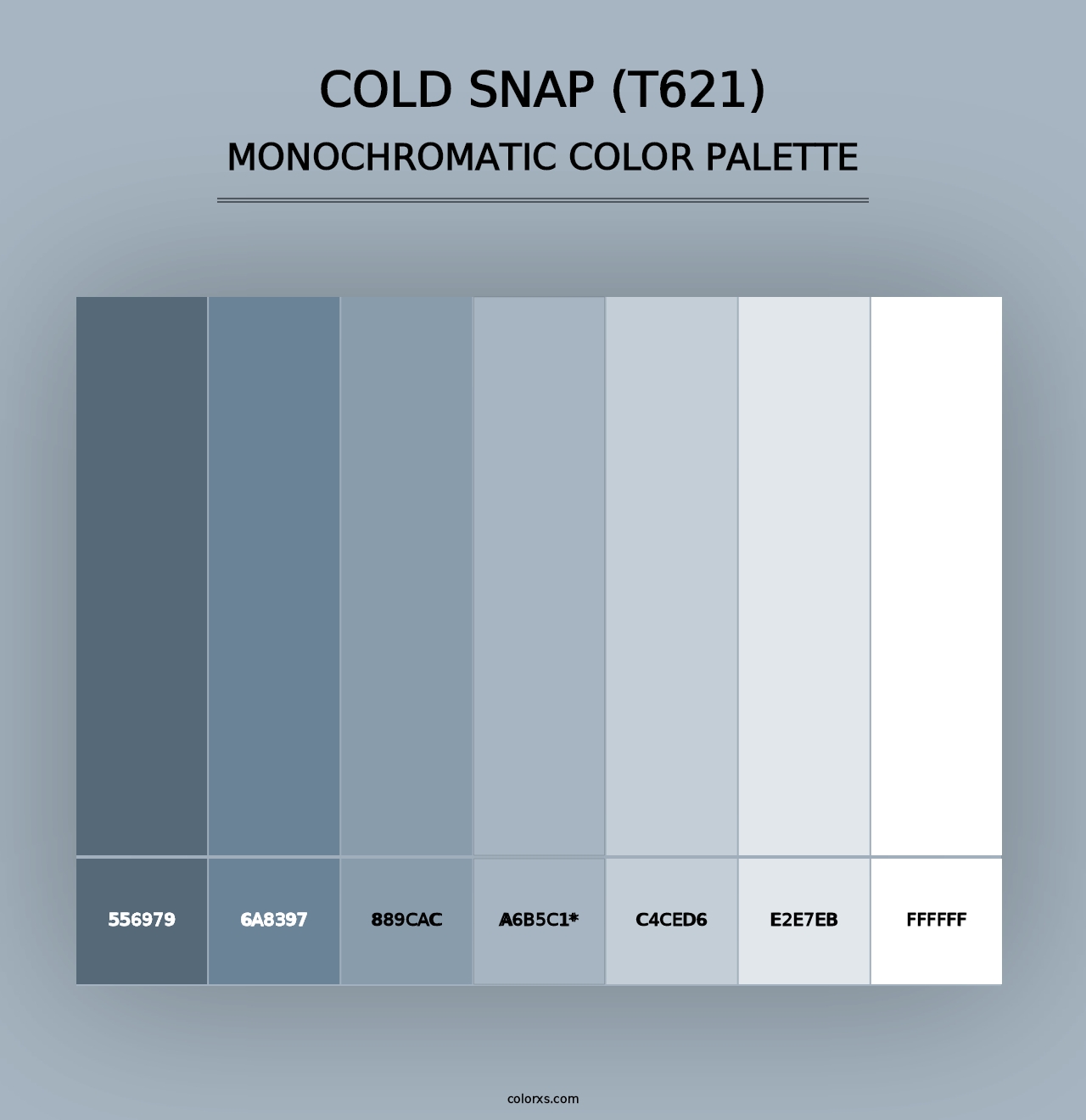 Cold Snap (T621) - Monochromatic Color Palette