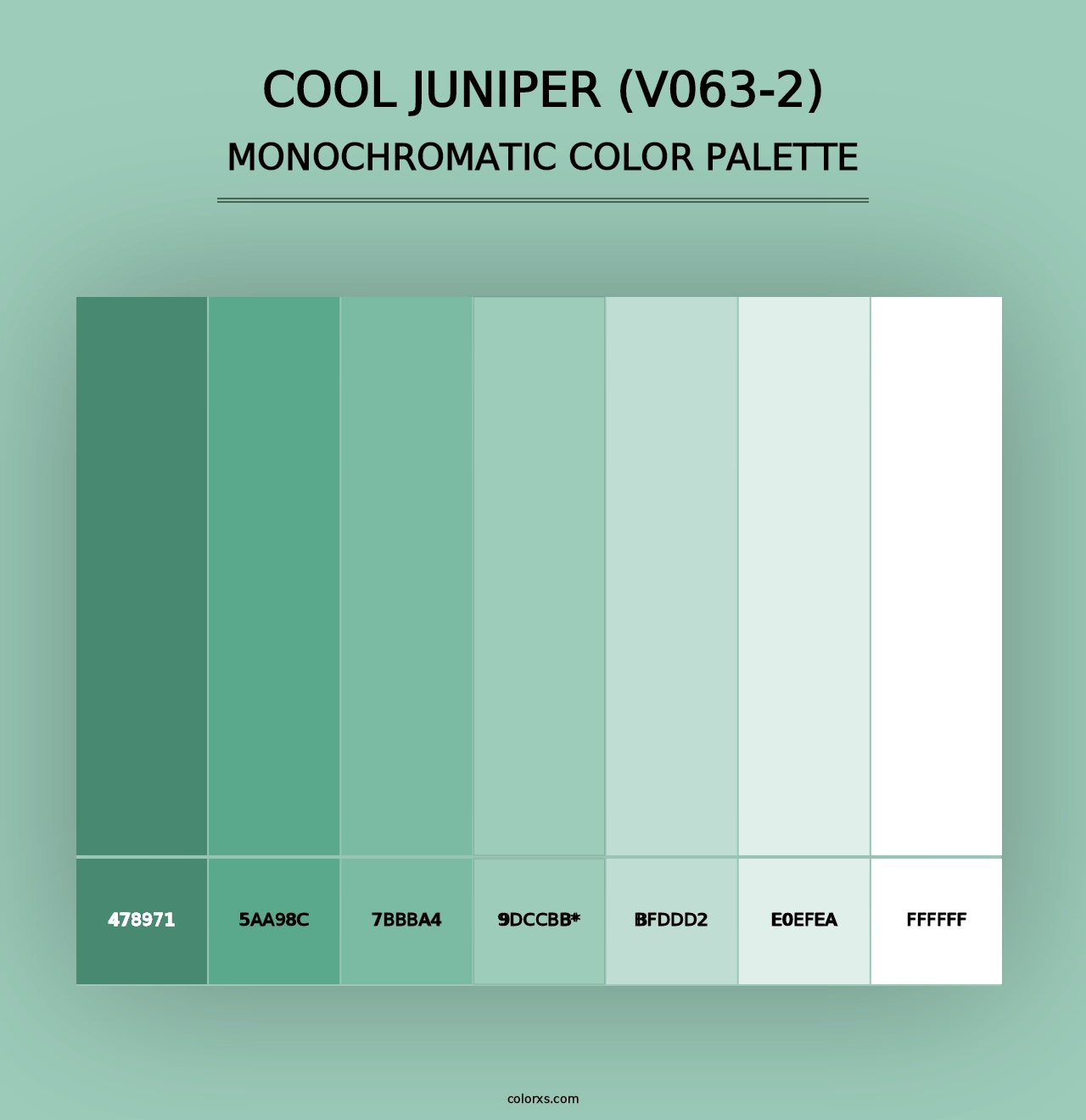 Cool Juniper (V063-2) - Monochromatic Color Palette