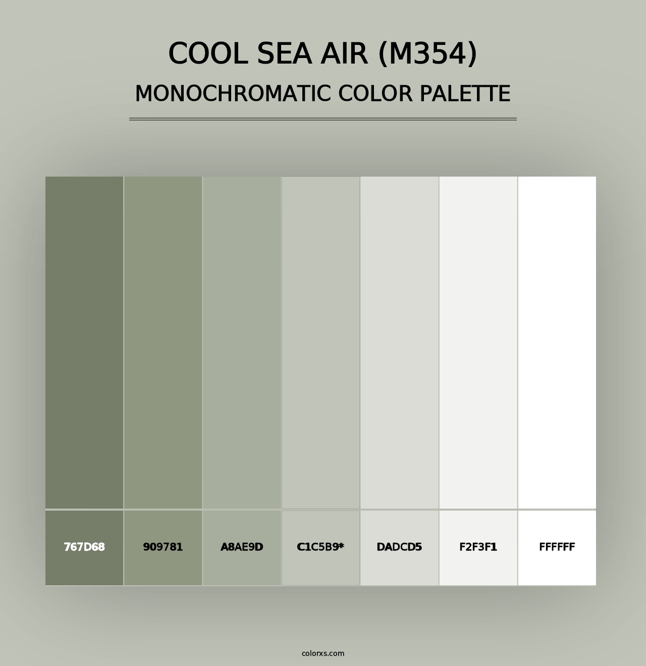 Cool Sea Air (M354) - Monochromatic Color Palette