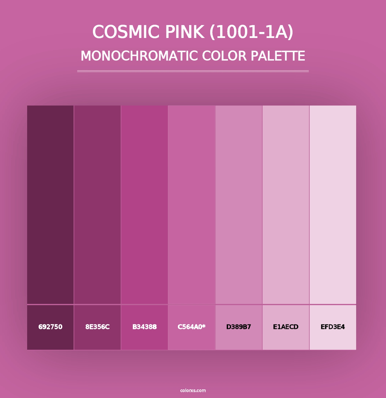 Cosmic Pink (1001-1A) - Monochromatic Color Palette