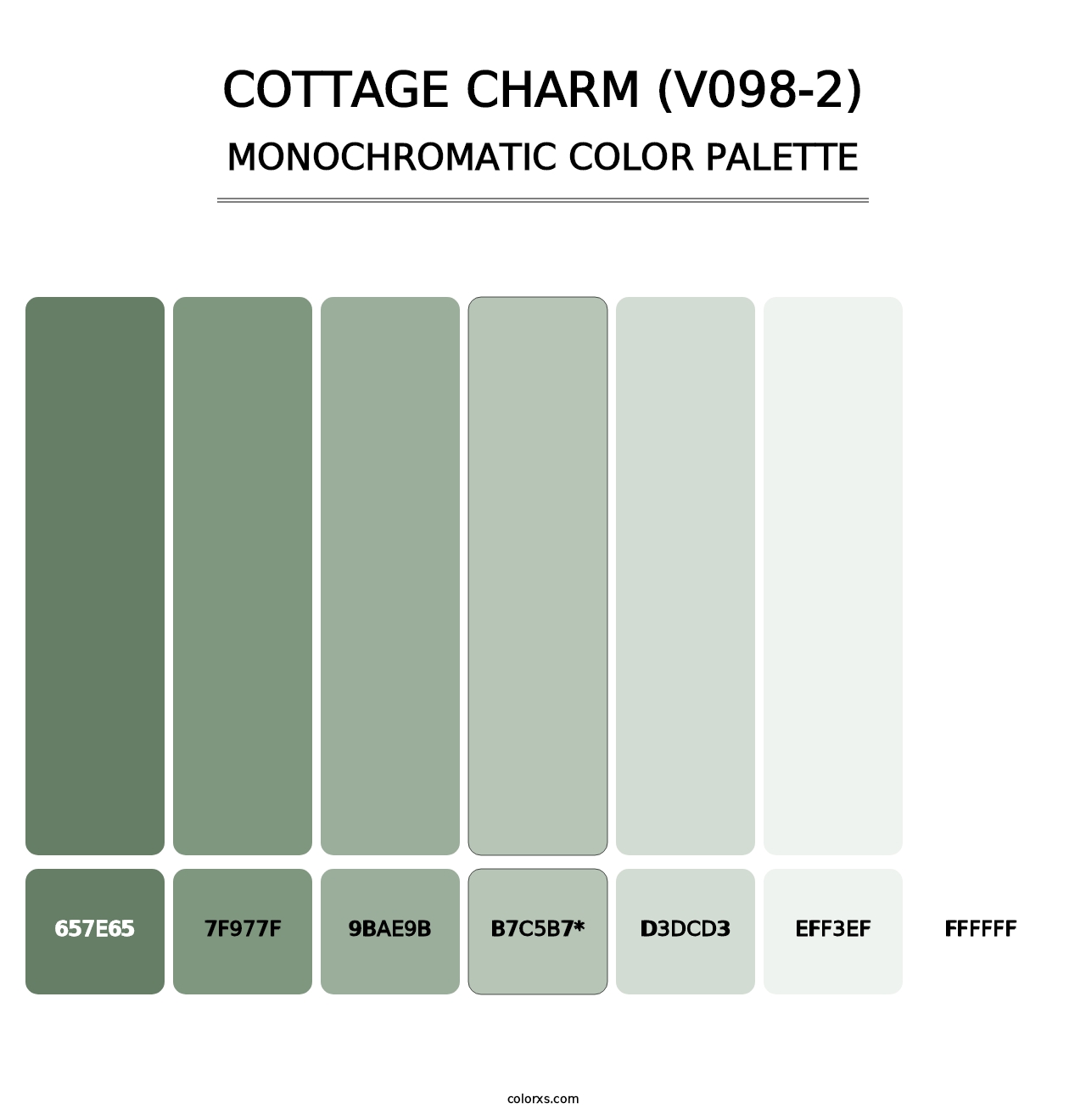 Cottage Charm (V098-2) - Monochromatic Color Palette