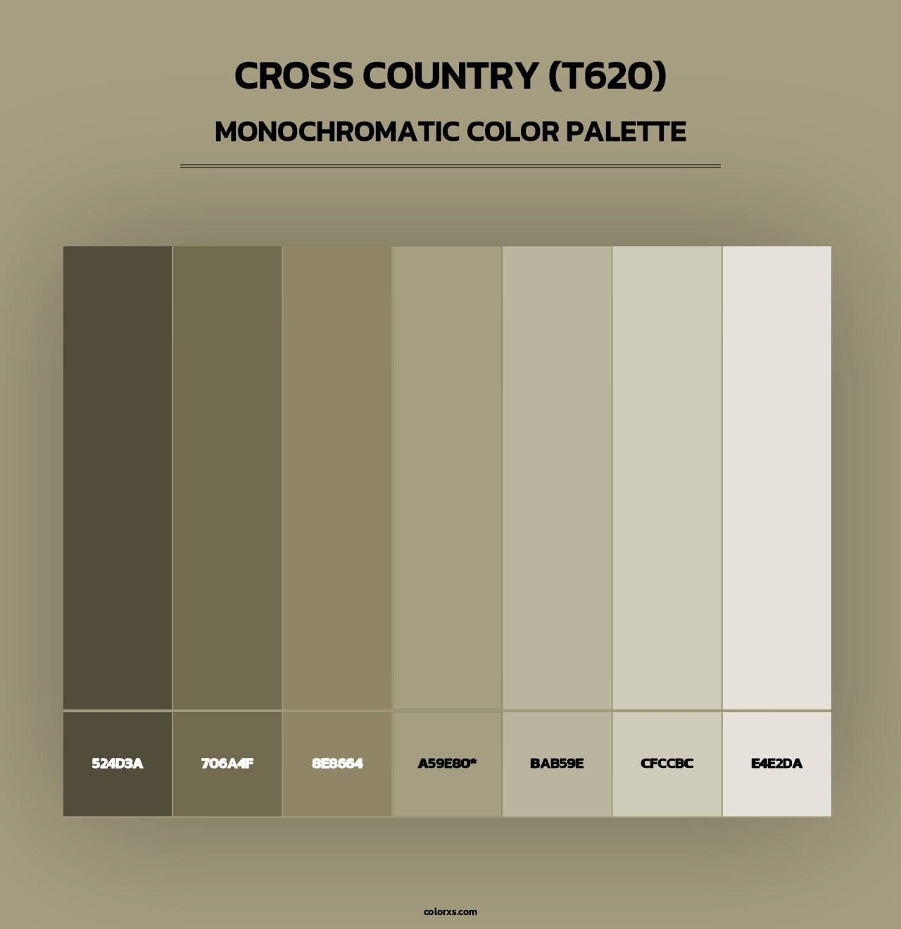 Cross Country (T620) - Monochromatic Color Palette