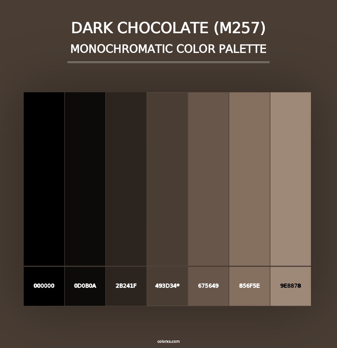 Dark Chocolate (M257) - Monochromatic Color Palette