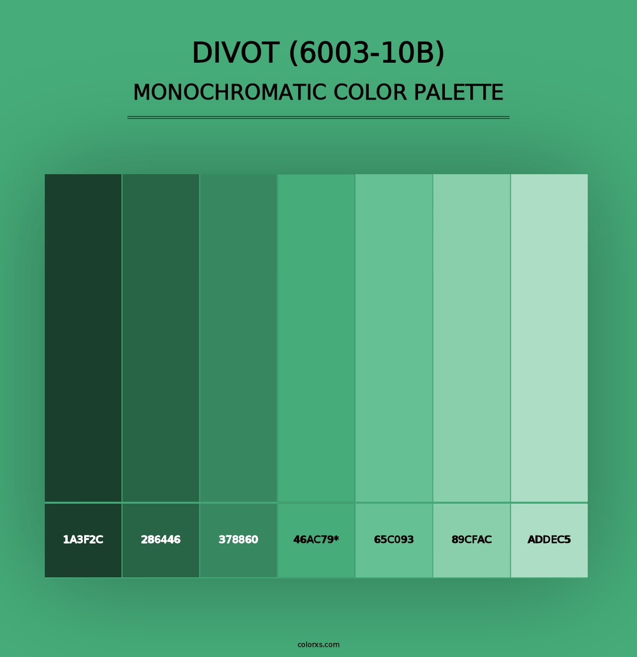 Divot (6003-10B) - Monochromatic Color Palette