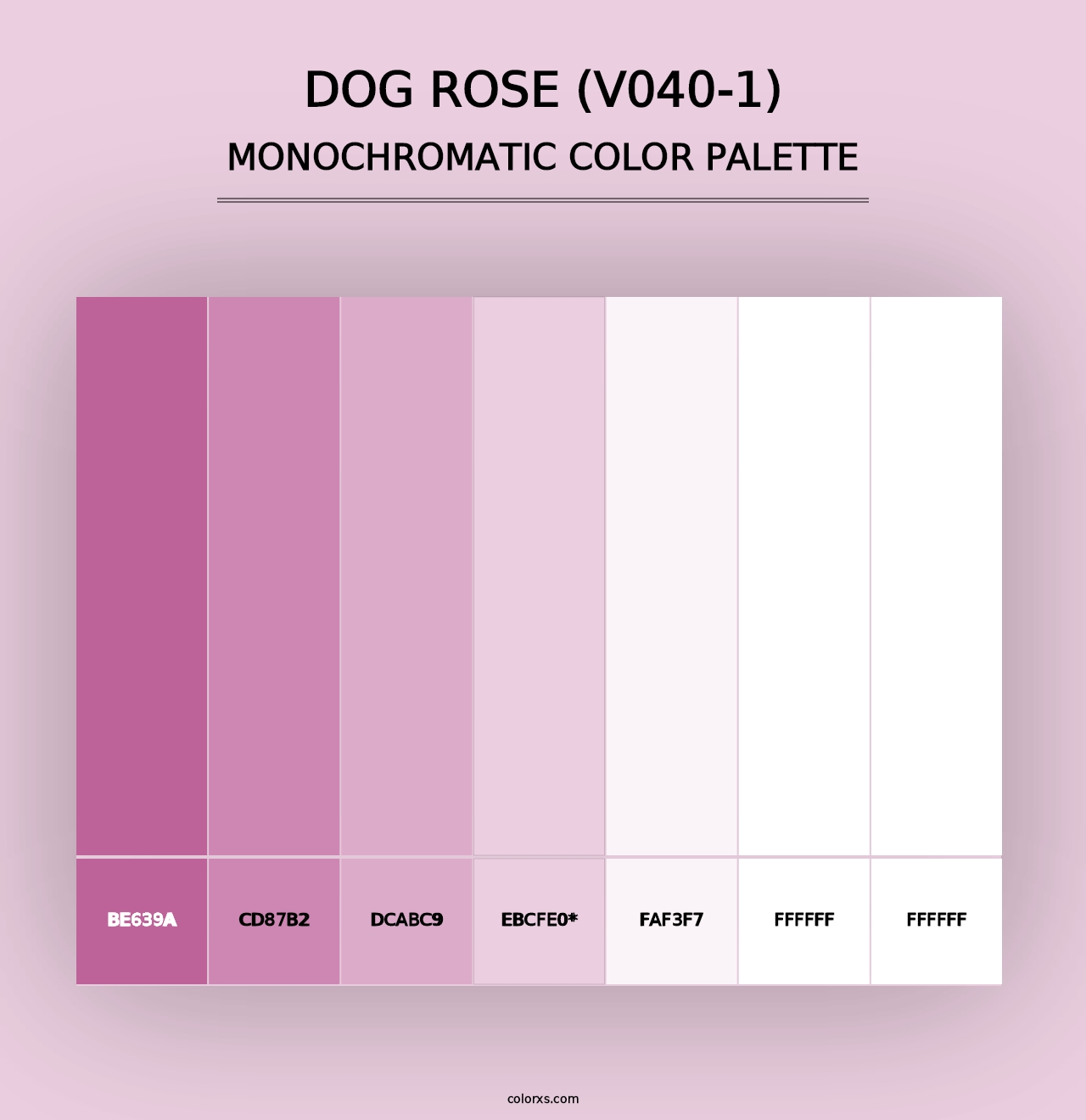 Dog Rose (V040-1) - Monochromatic Color Palette