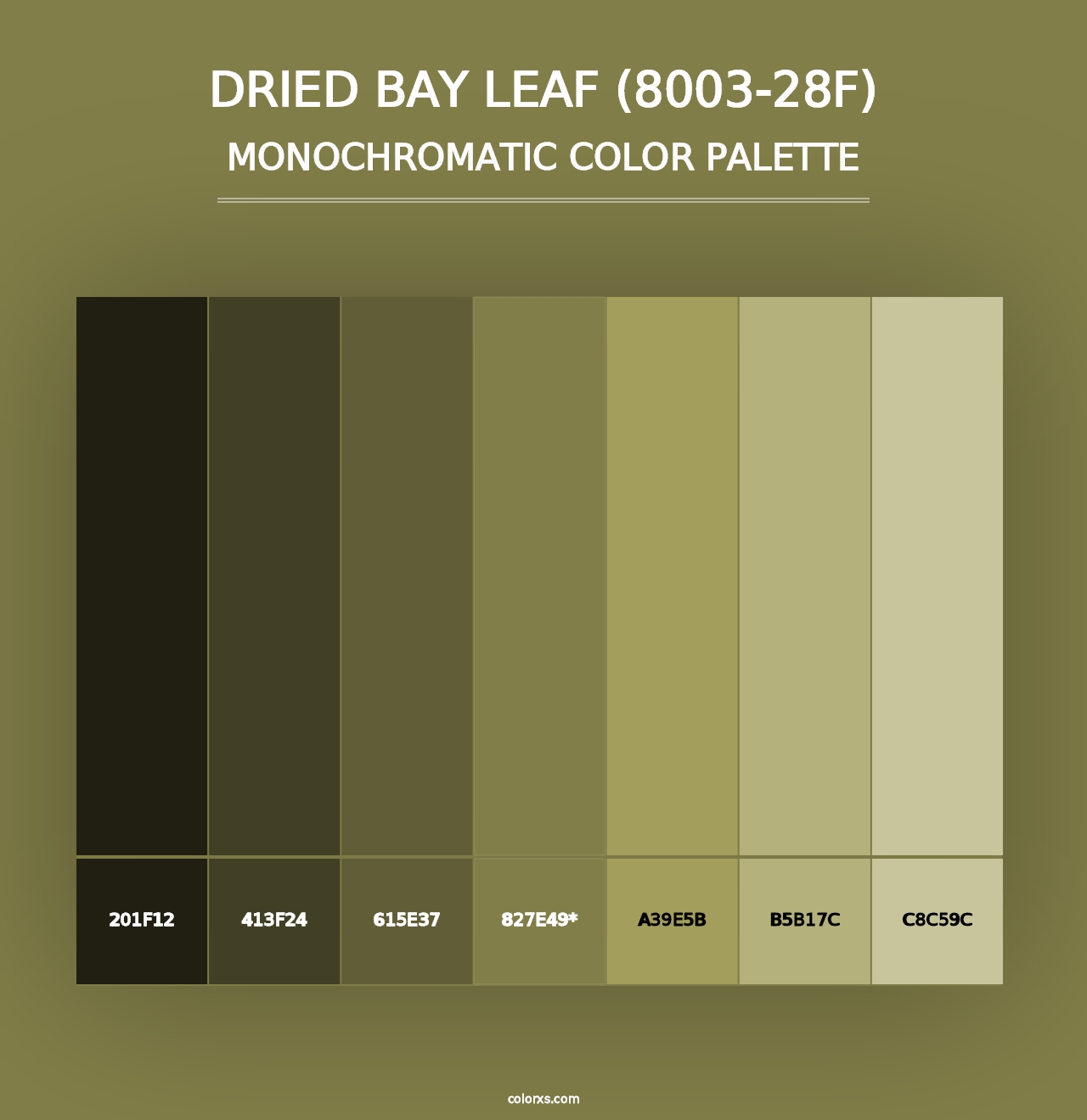 Dried Bay Leaf (8003-28F) - Monochromatic Color Palette