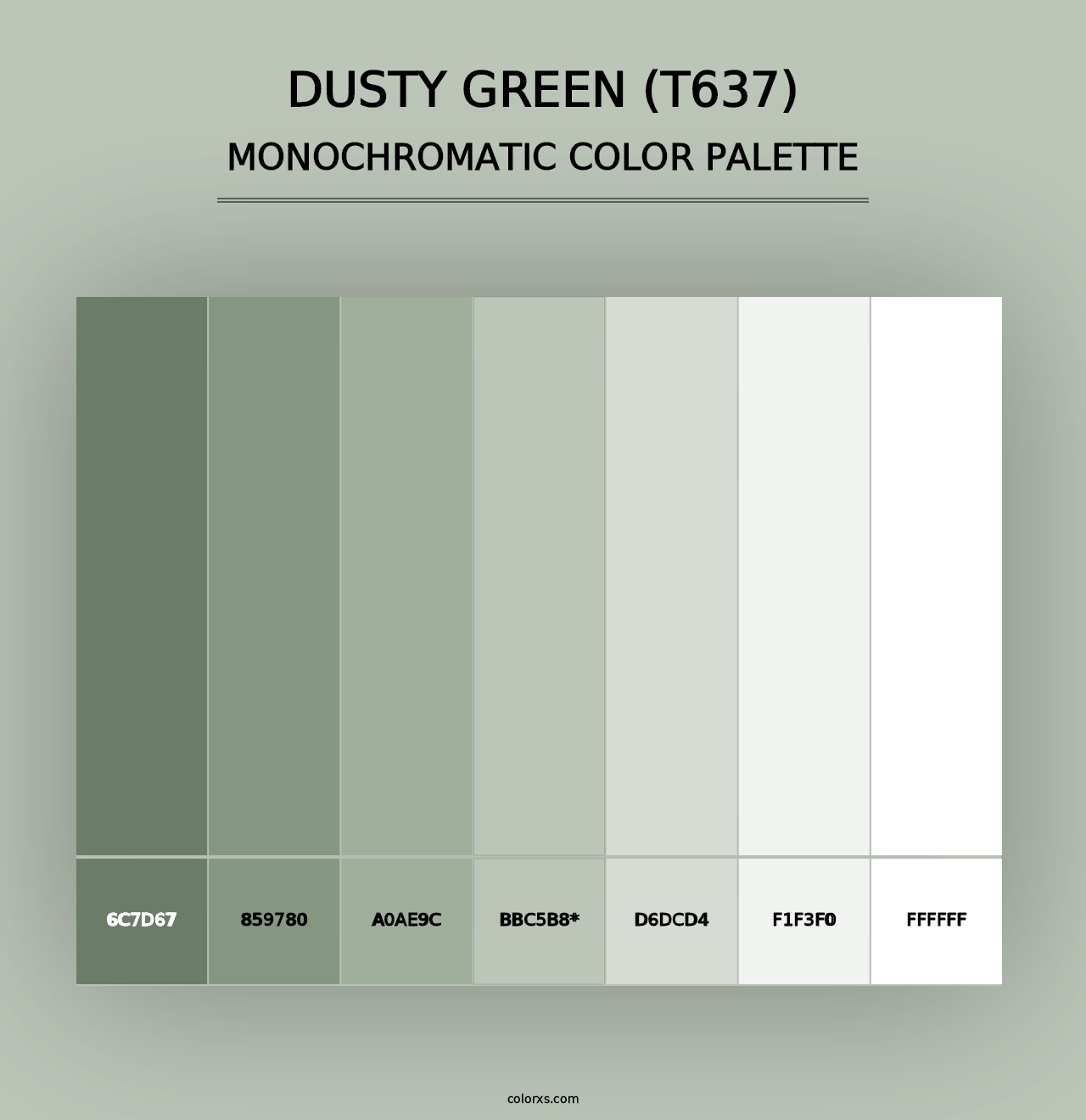 Dusty Green (T637) - Monochromatic Color Palette