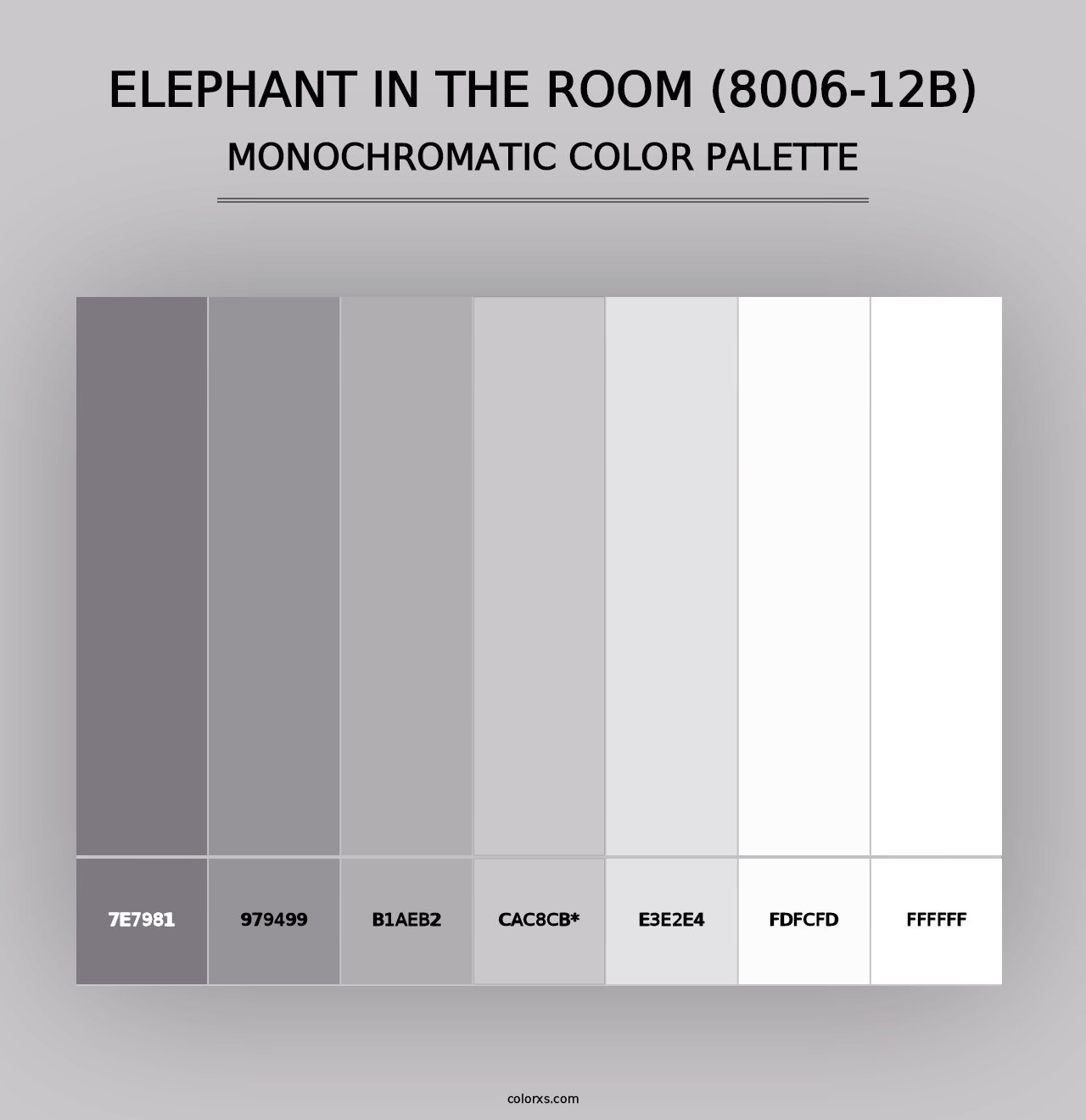 Elephant in the Room (8006-12B) - Monochromatic Color Palette