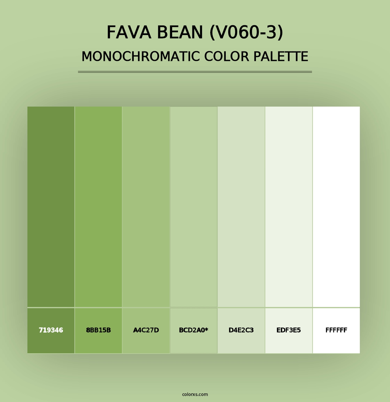 Fava Bean (V060-3) - Monochromatic Color Palette