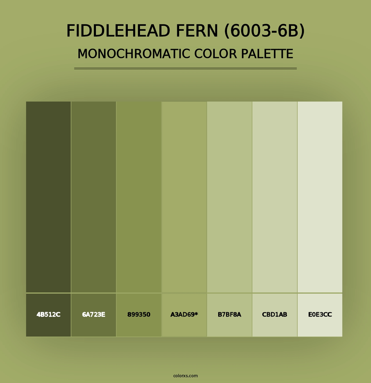 Fiddlehead Fern (6003-6B) - Monochromatic Color Palette