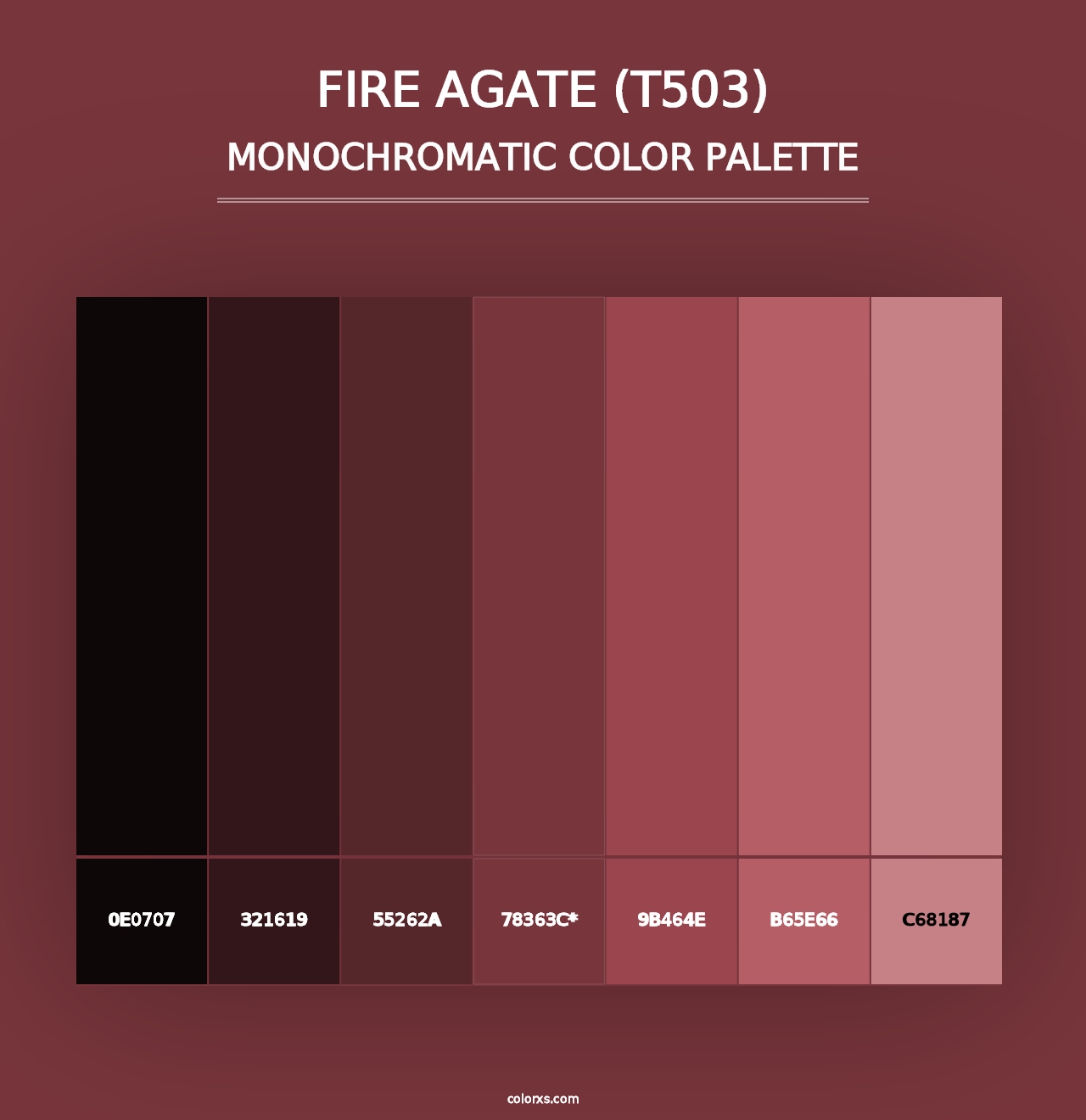 Fire Agate (T503) - Monochromatic Color Palette