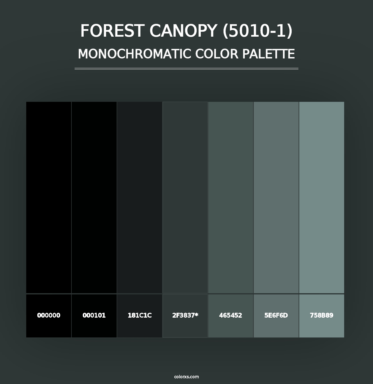 Forest Canopy (5010-1) - Monochromatic Color Palette