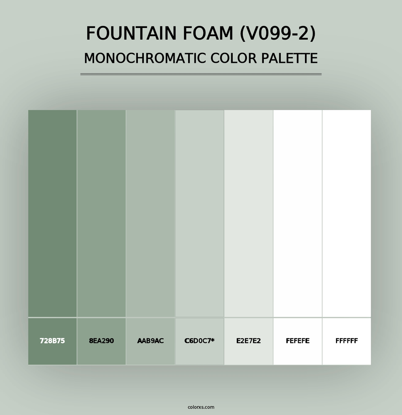 Fountain Foam (V099-2) - Monochromatic Color Palette