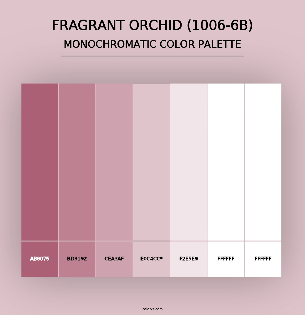 Fragrant Orchid (1006-6B) - Monochromatic Color Palette