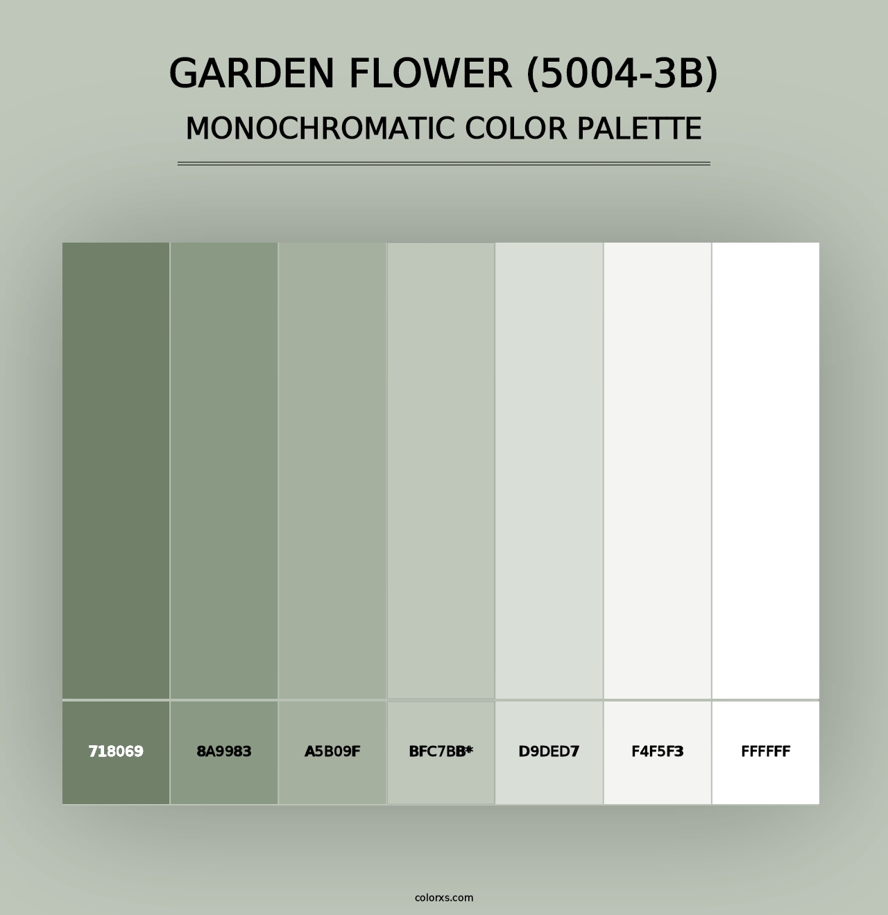 Garden Flower (5004-3B) - Monochromatic Color Palette