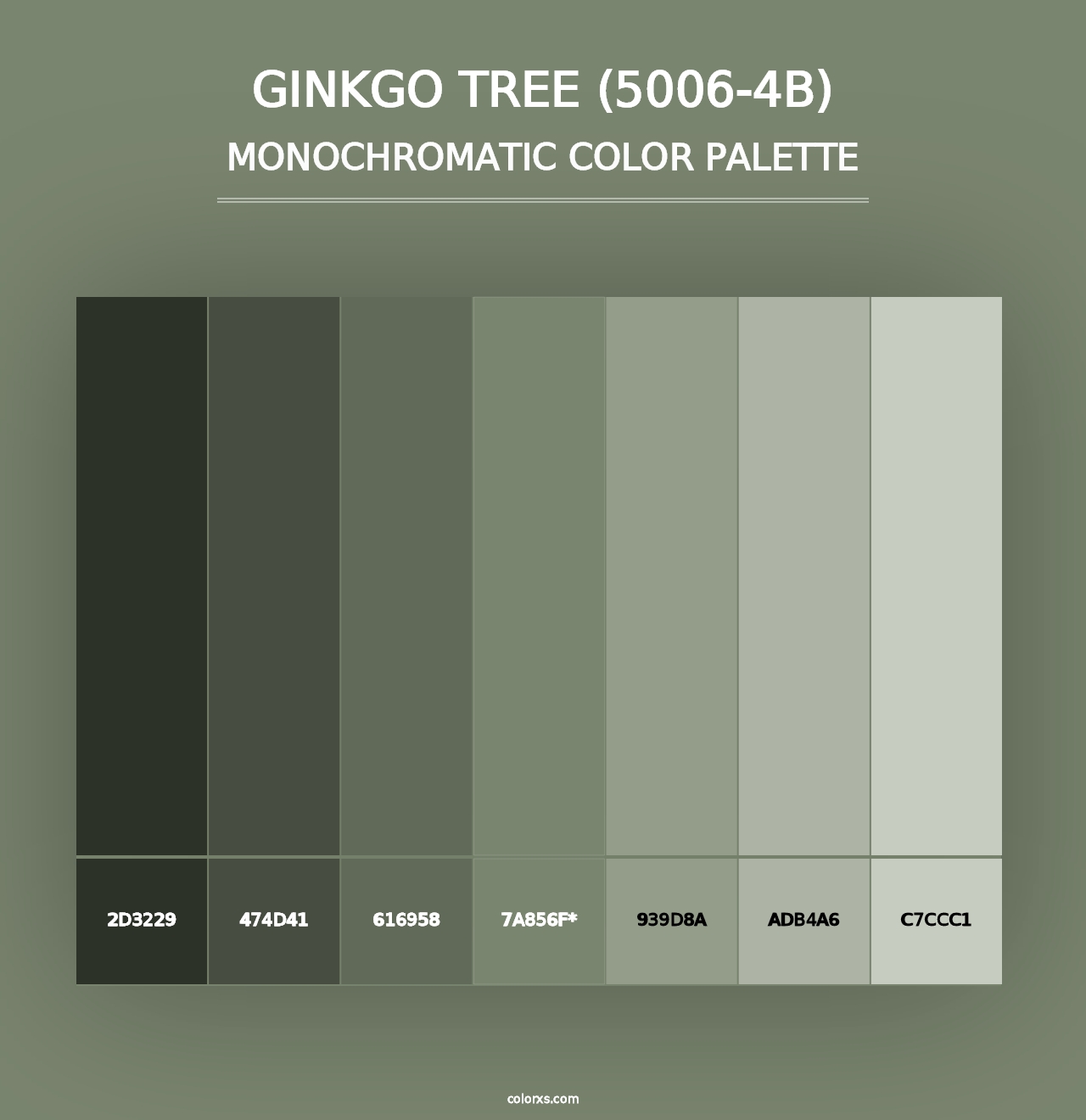 Ginkgo Tree (5006-4B) - Monochromatic Color Palette