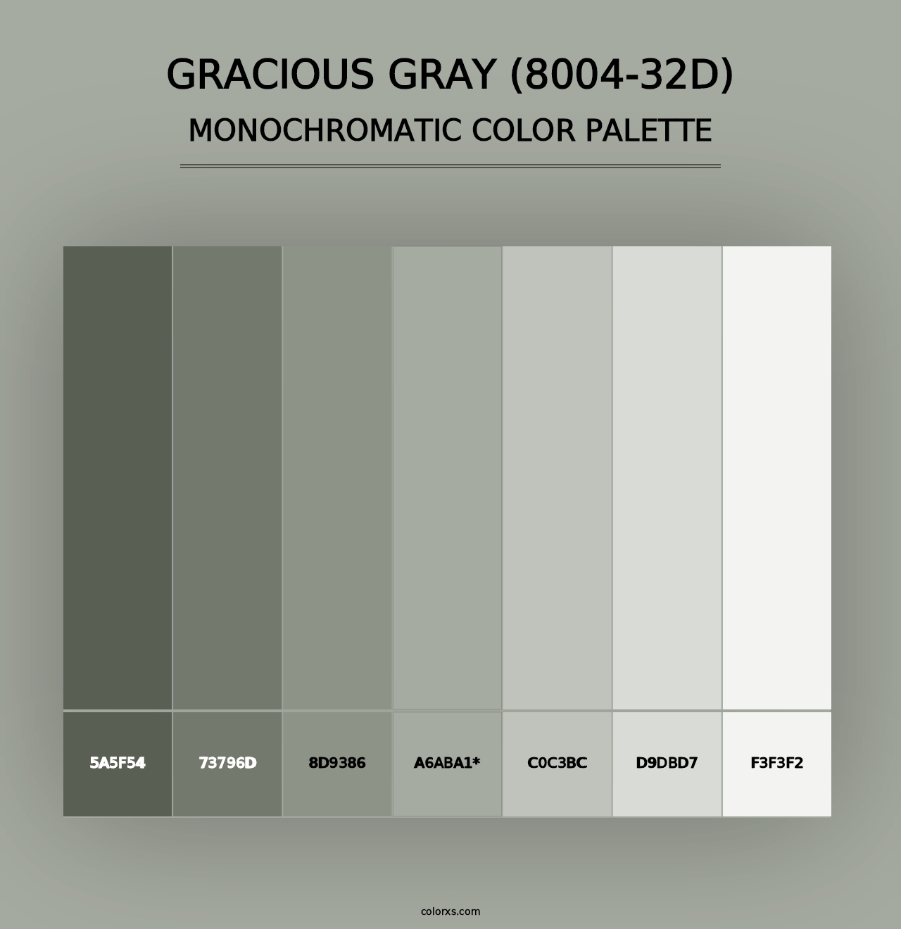 Gracious Gray (8004-32D) - Monochromatic Color Palette