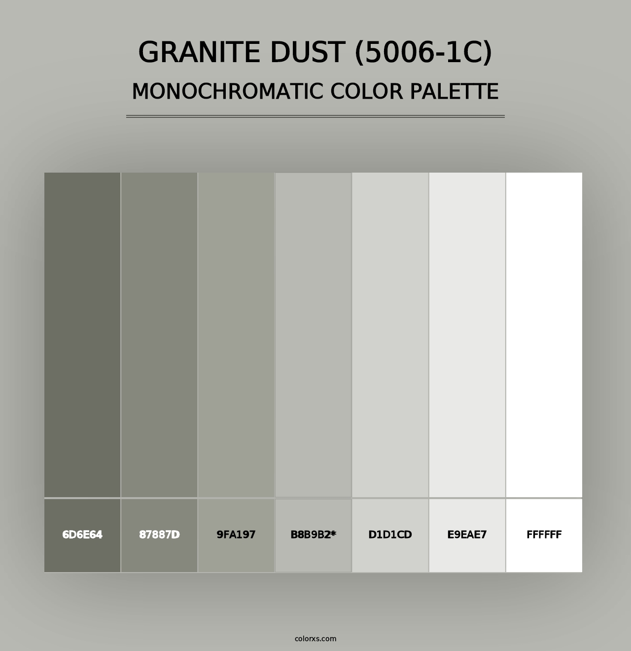 Granite Dust (5006-1C) - Monochromatic Color Palette