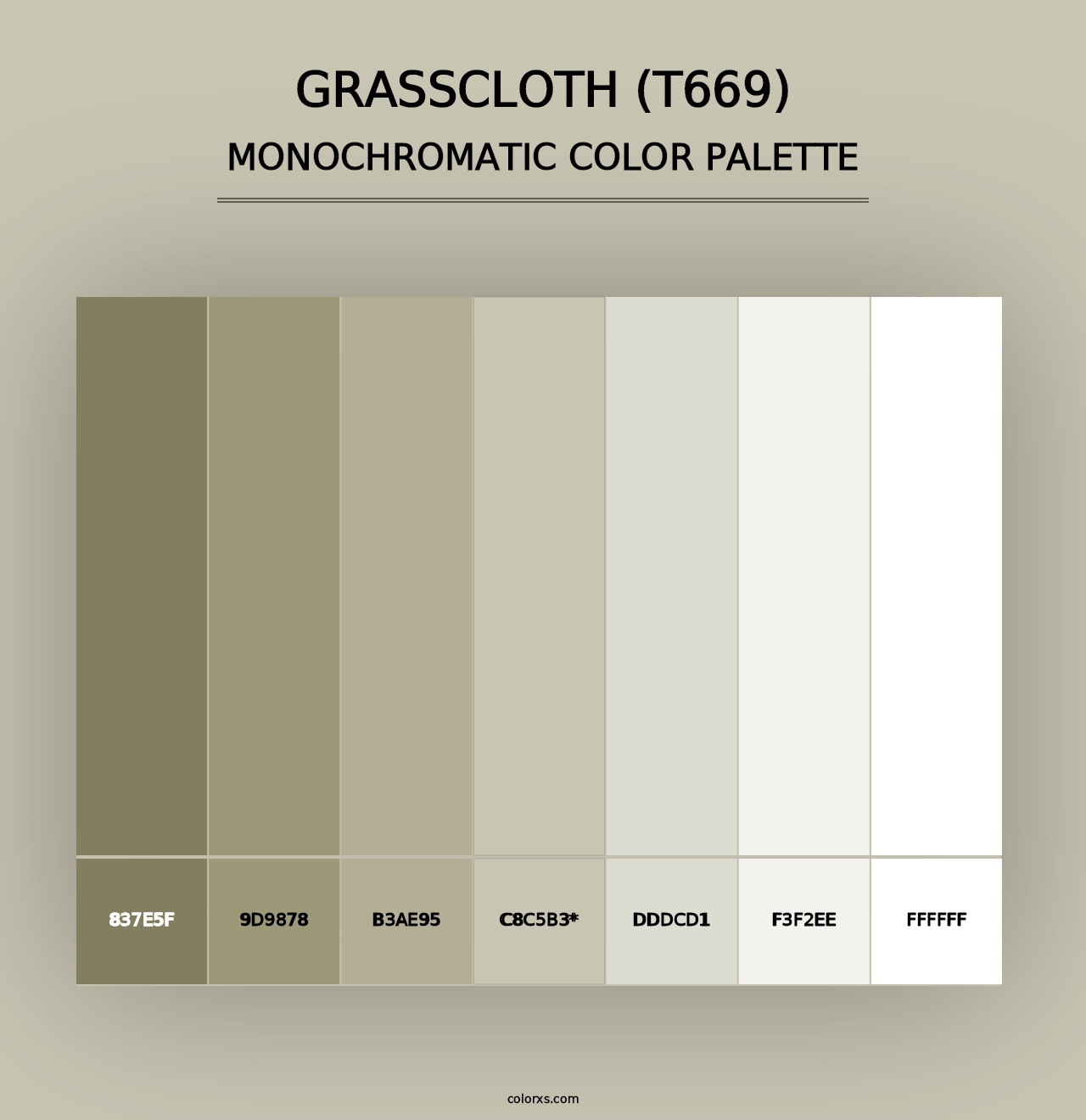 Grasscloth (T669) - Monochromatic Color Palette