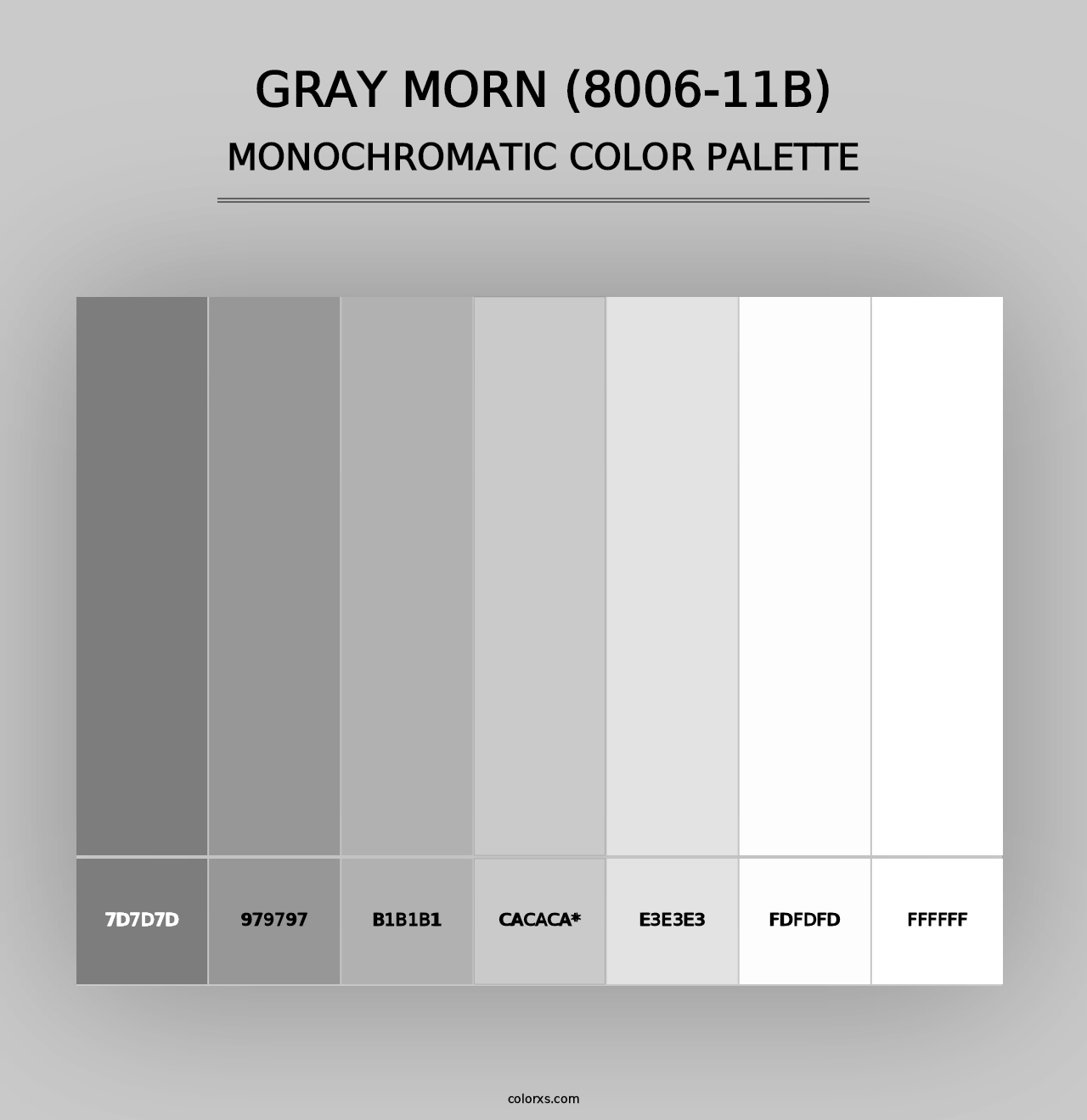 Gray Morn (8006-11B) - Monochromatic Color Palette