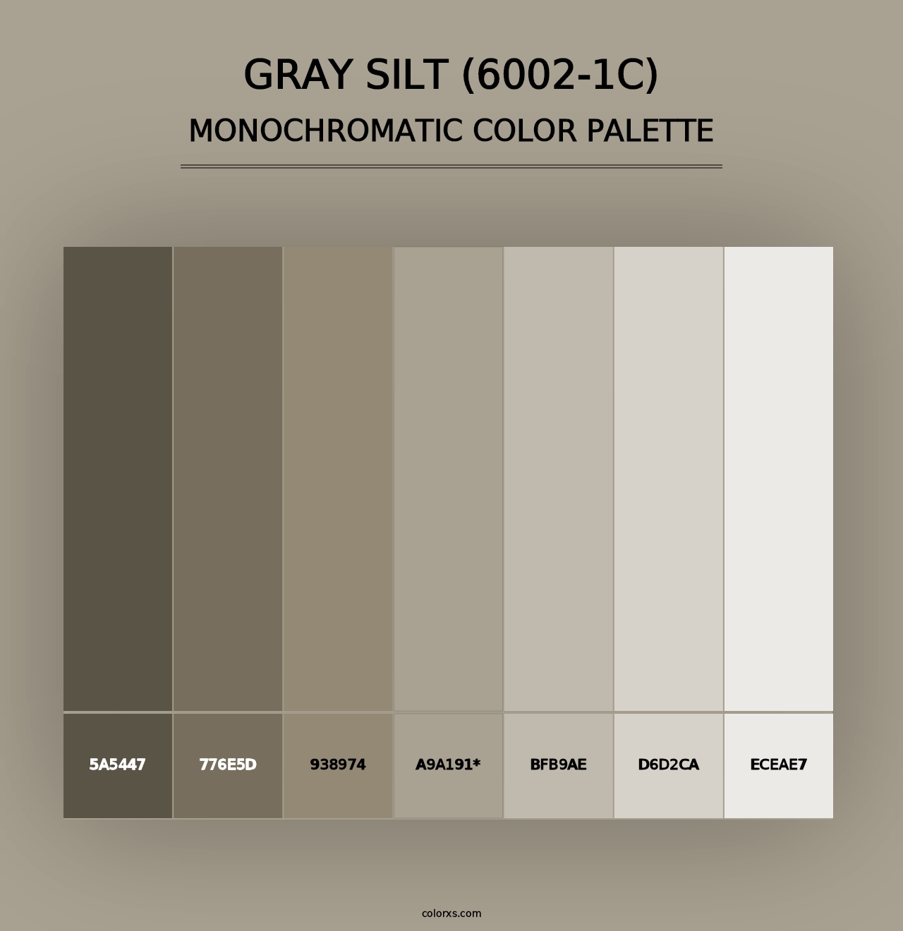 Gray Silt (6002-1C) - Monochromatic Color Palette