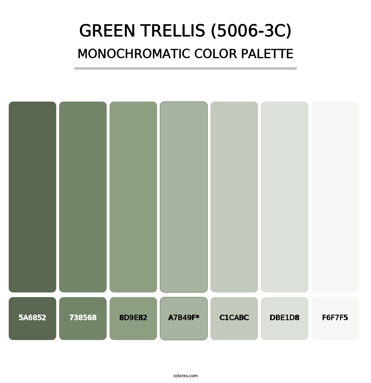 Green Trellis (5006-3C) - Monochromatic Color Palette