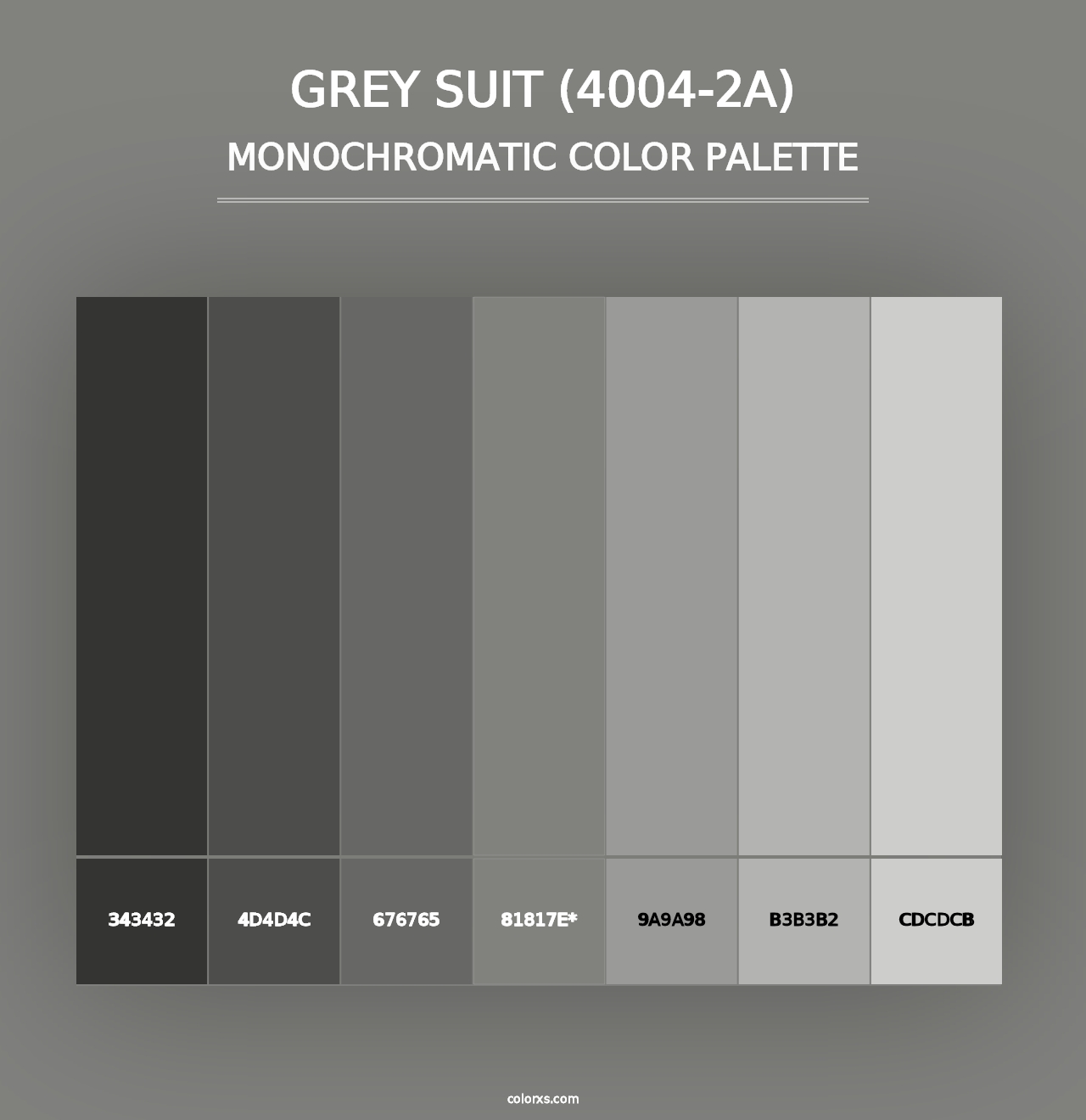 Grey Suit (4004-2A) - Monochromatic Color Palette