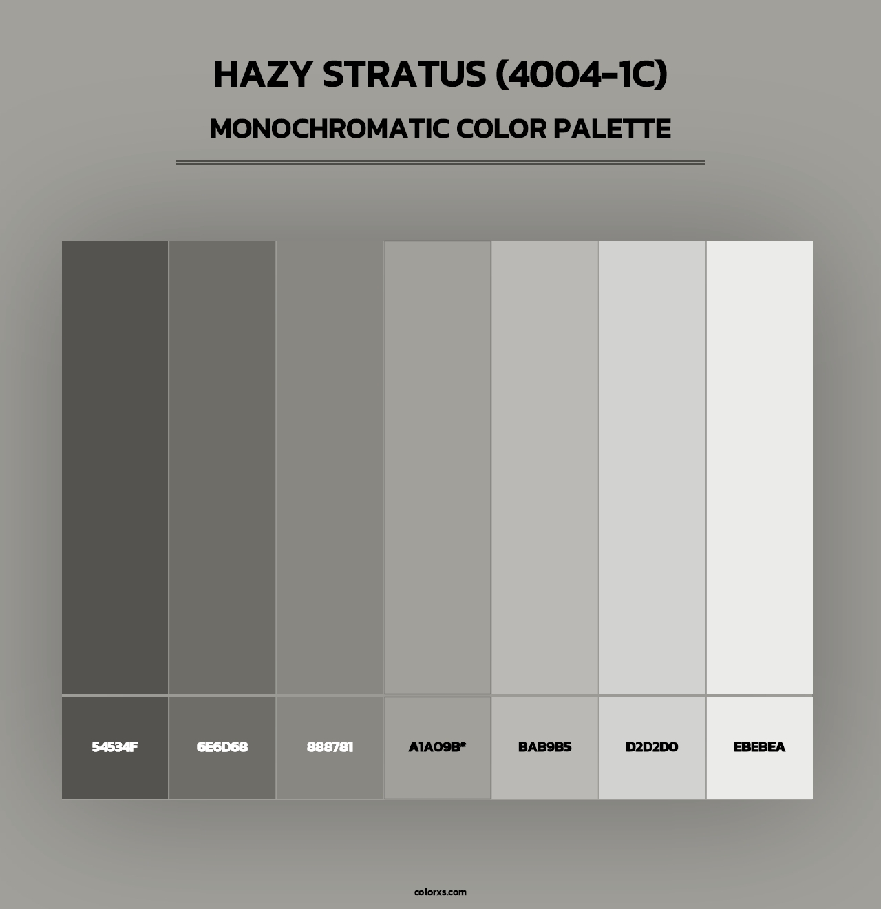 Hazy Stratus (4004-1C) - Monochromatic Color Palette